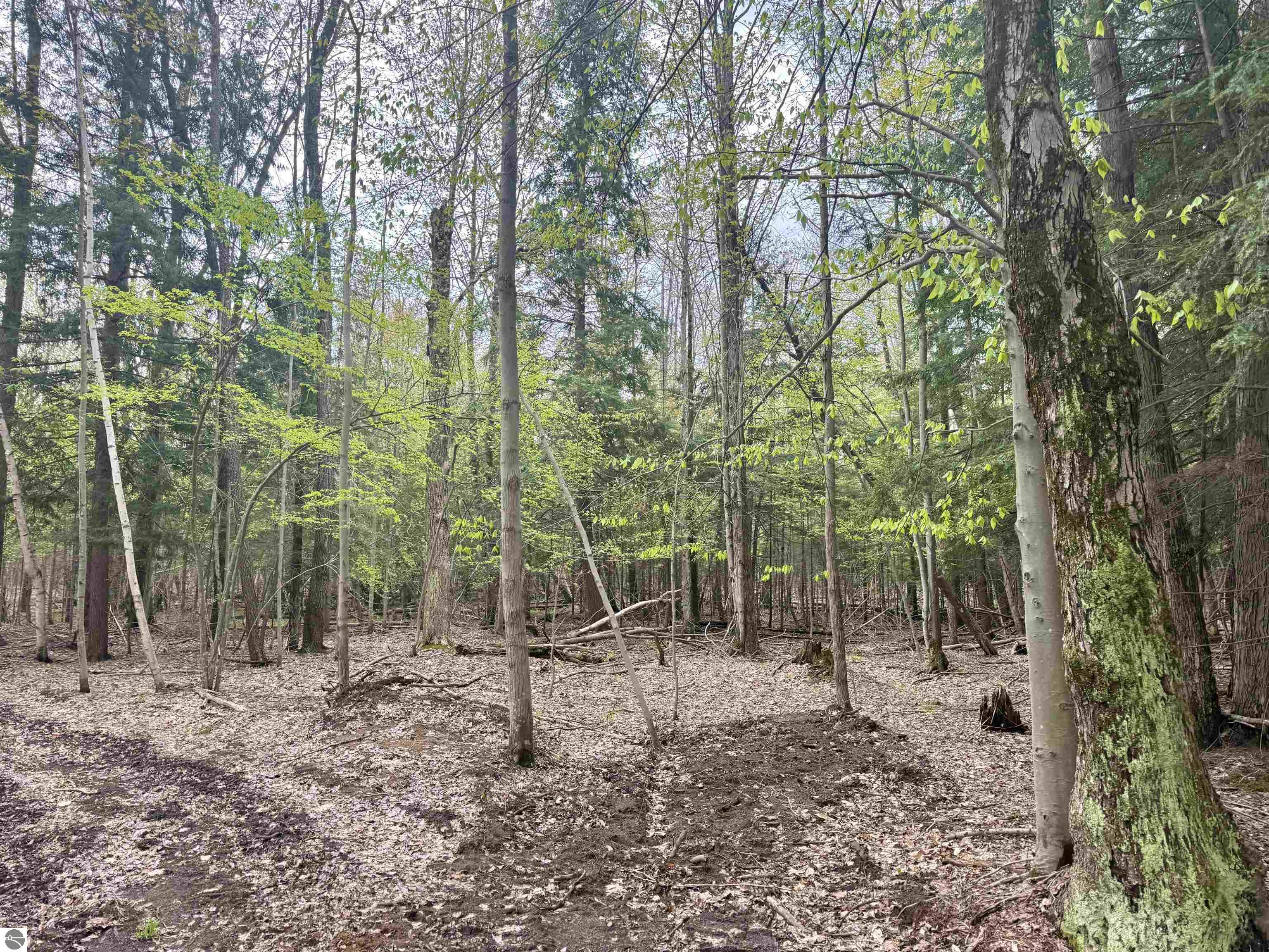 6639 Fall Road