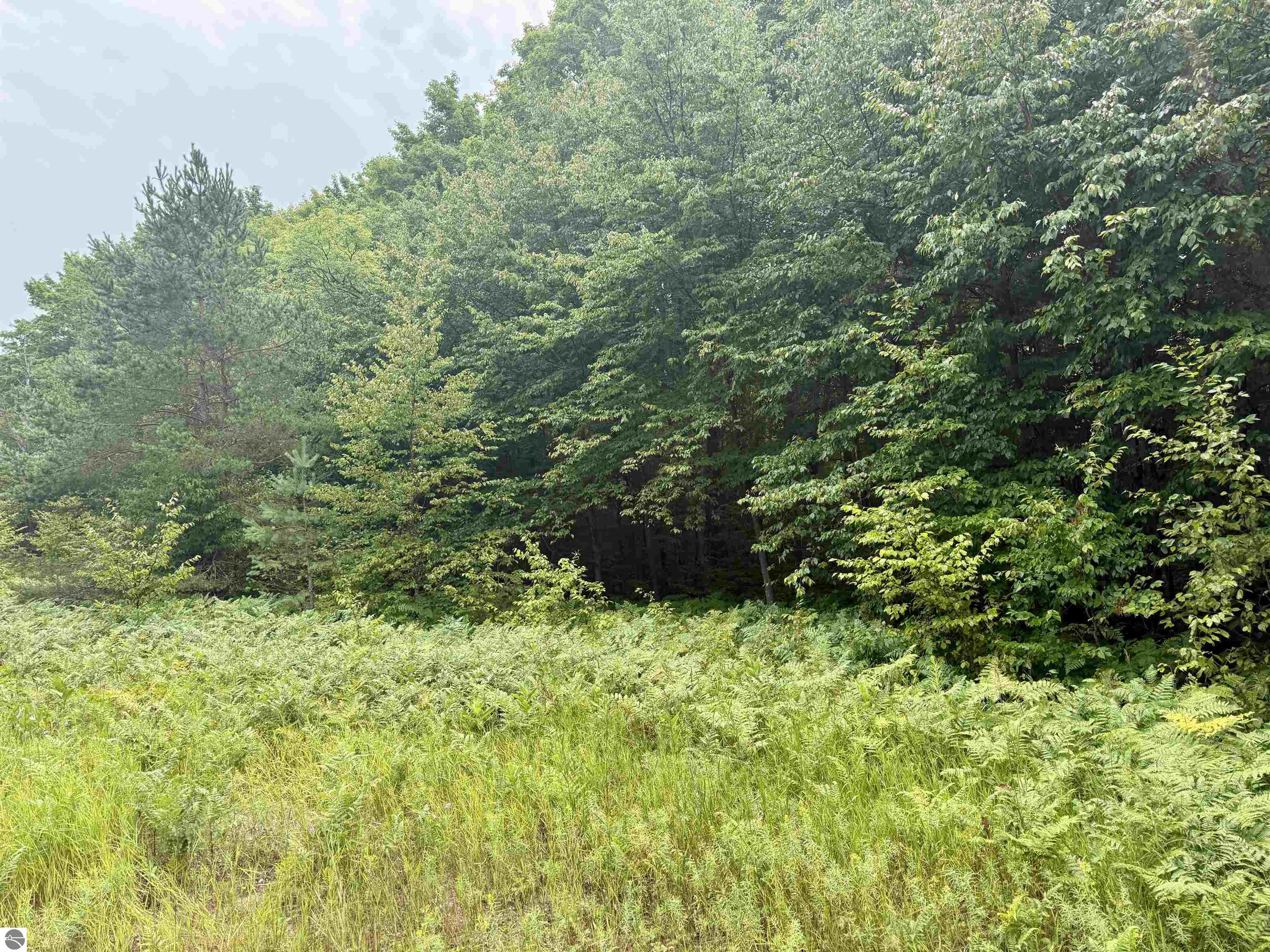 4989 State Road