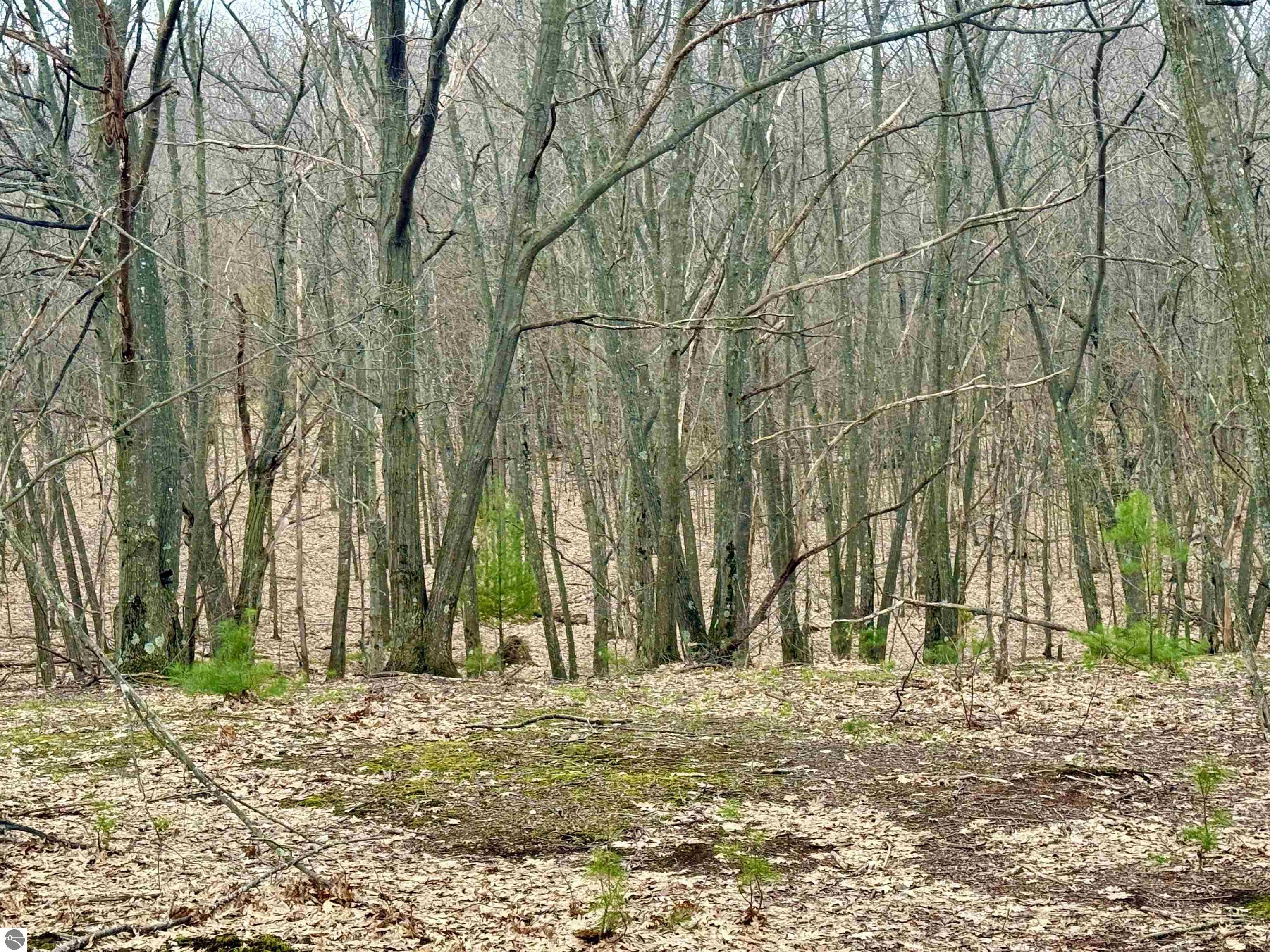 Lot E W Big Sky Trail