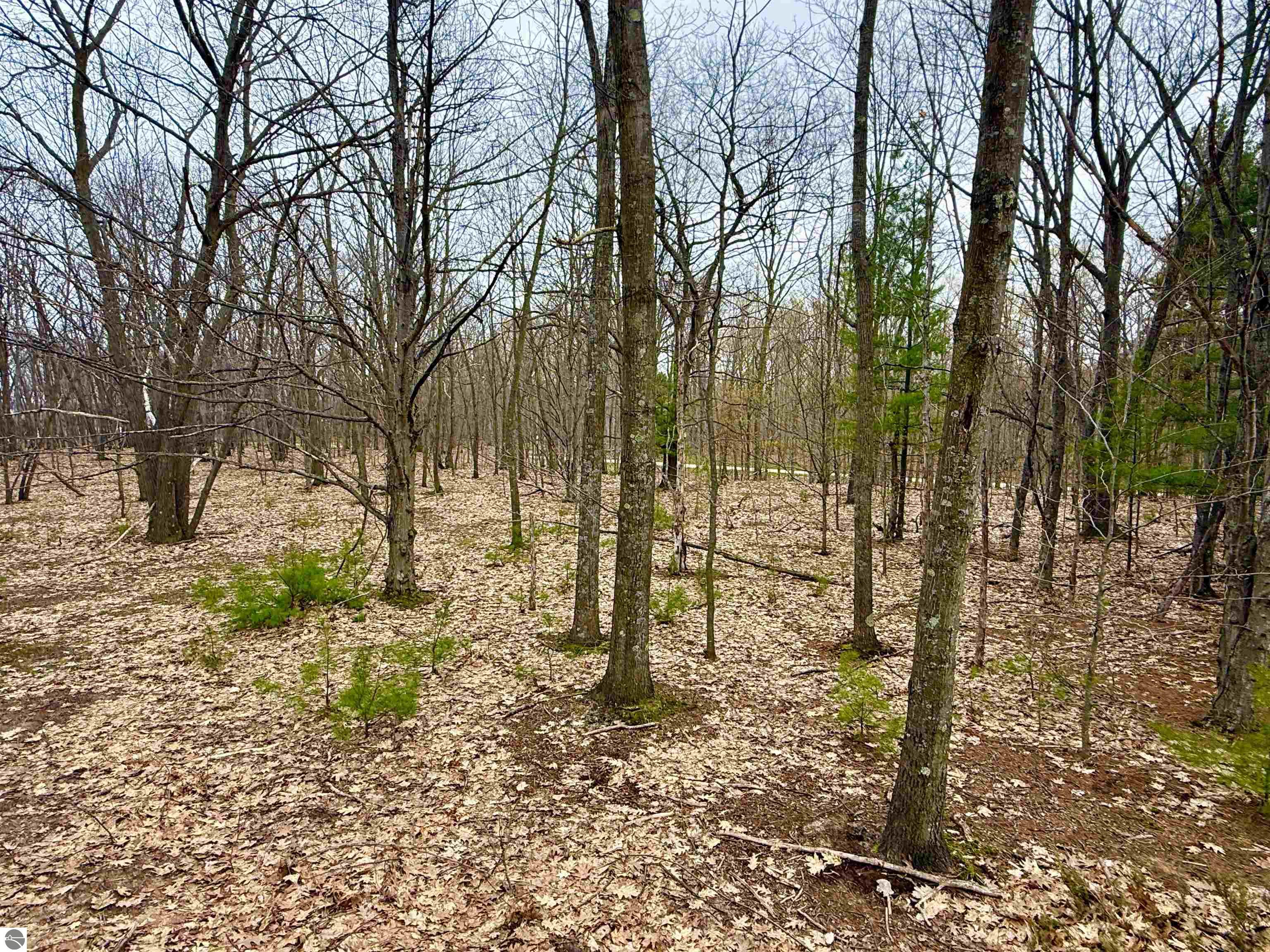 Lot E W Big Sky Trail