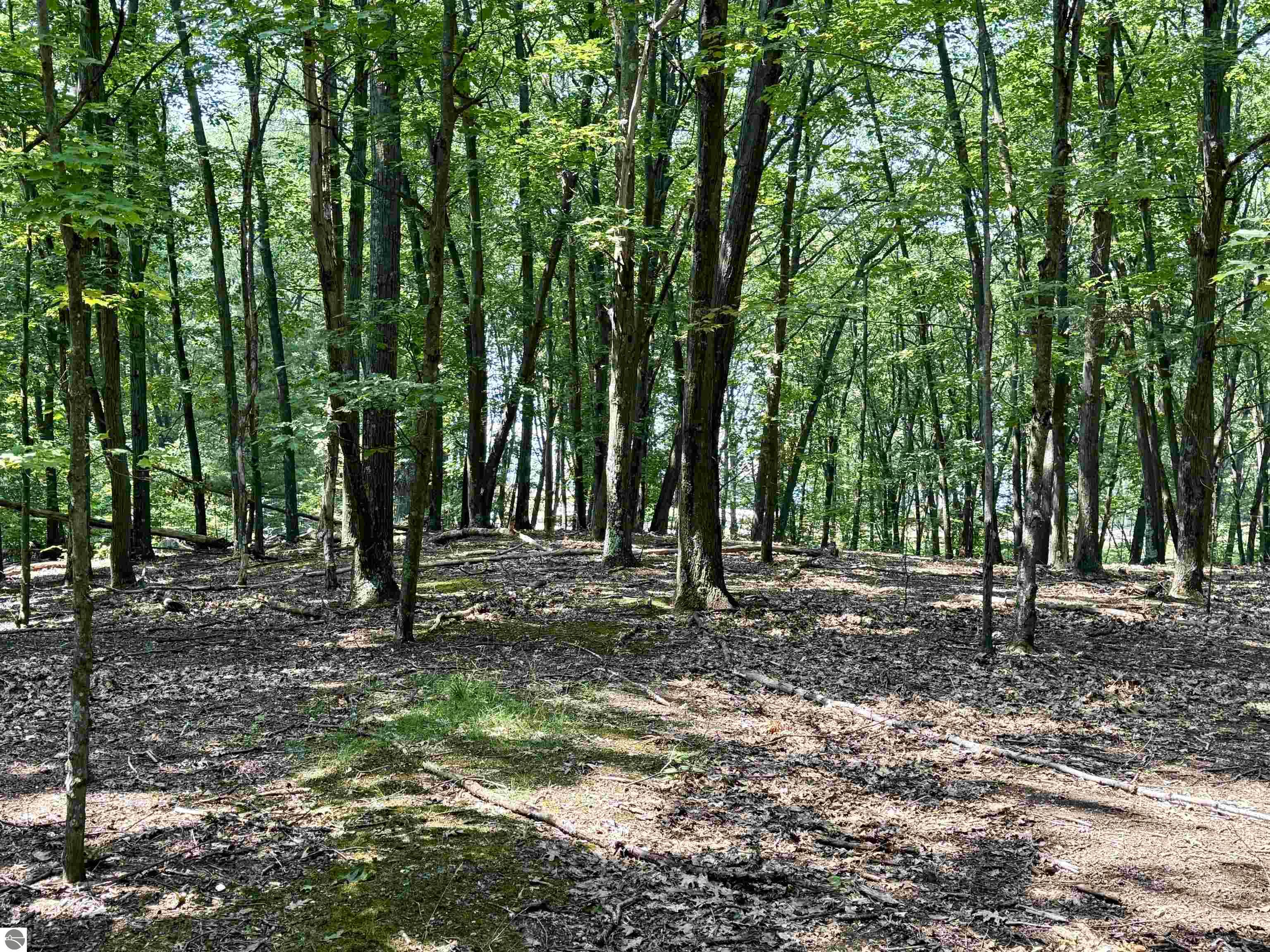 Lot E W Big Sky Trail