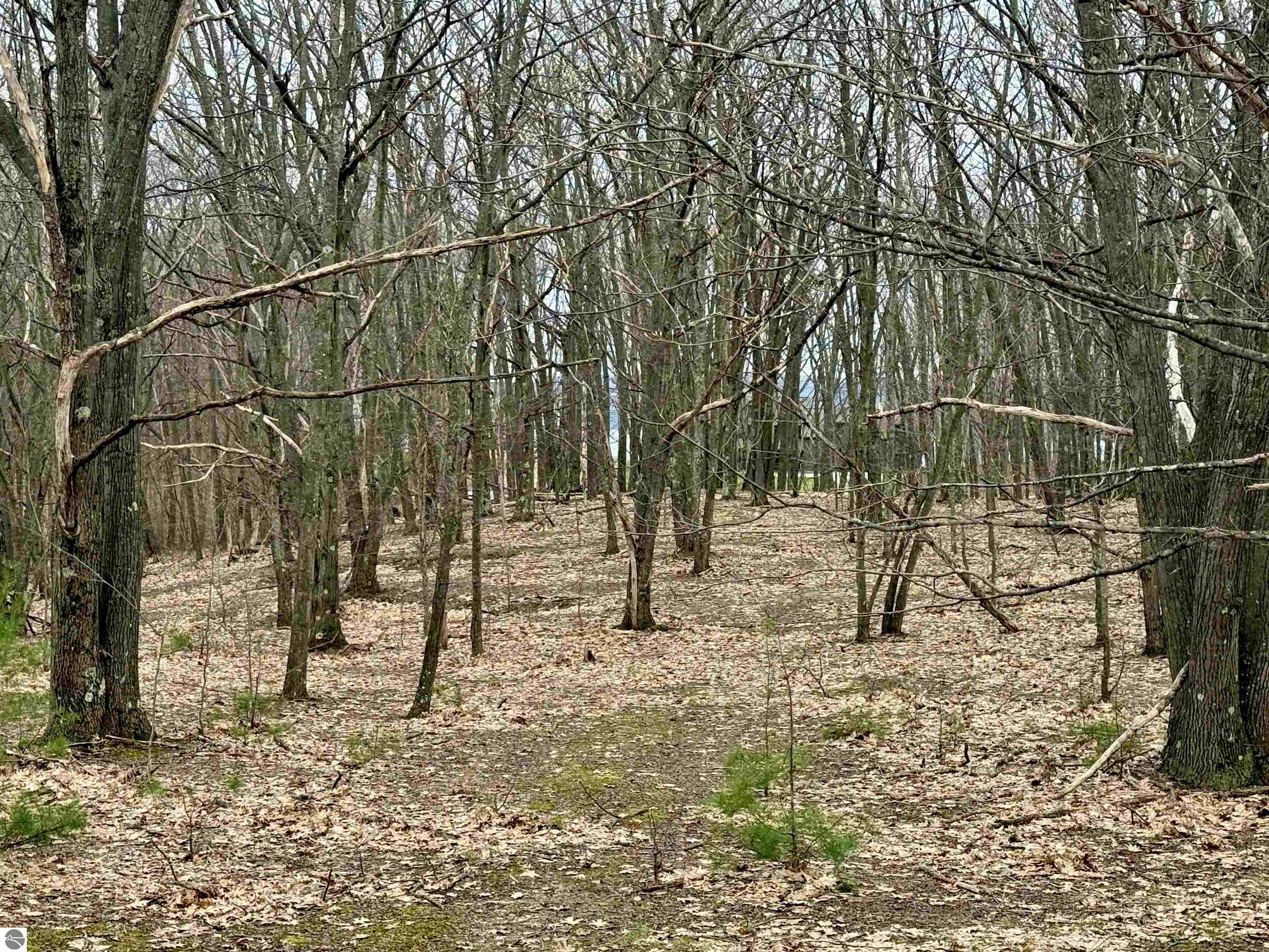 Lot E W Big Sky Trail