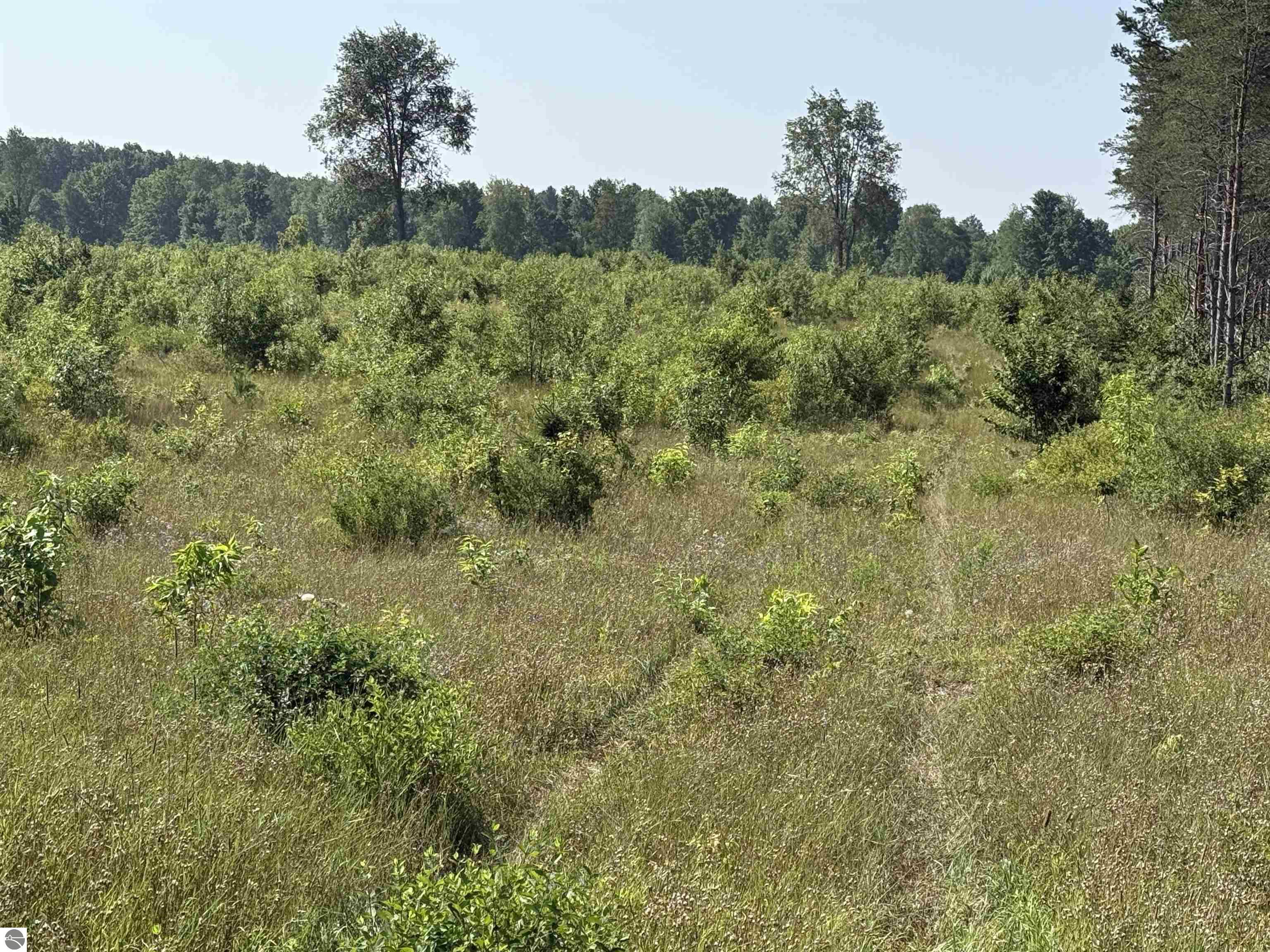 Parcel A 1 E Kasson Road