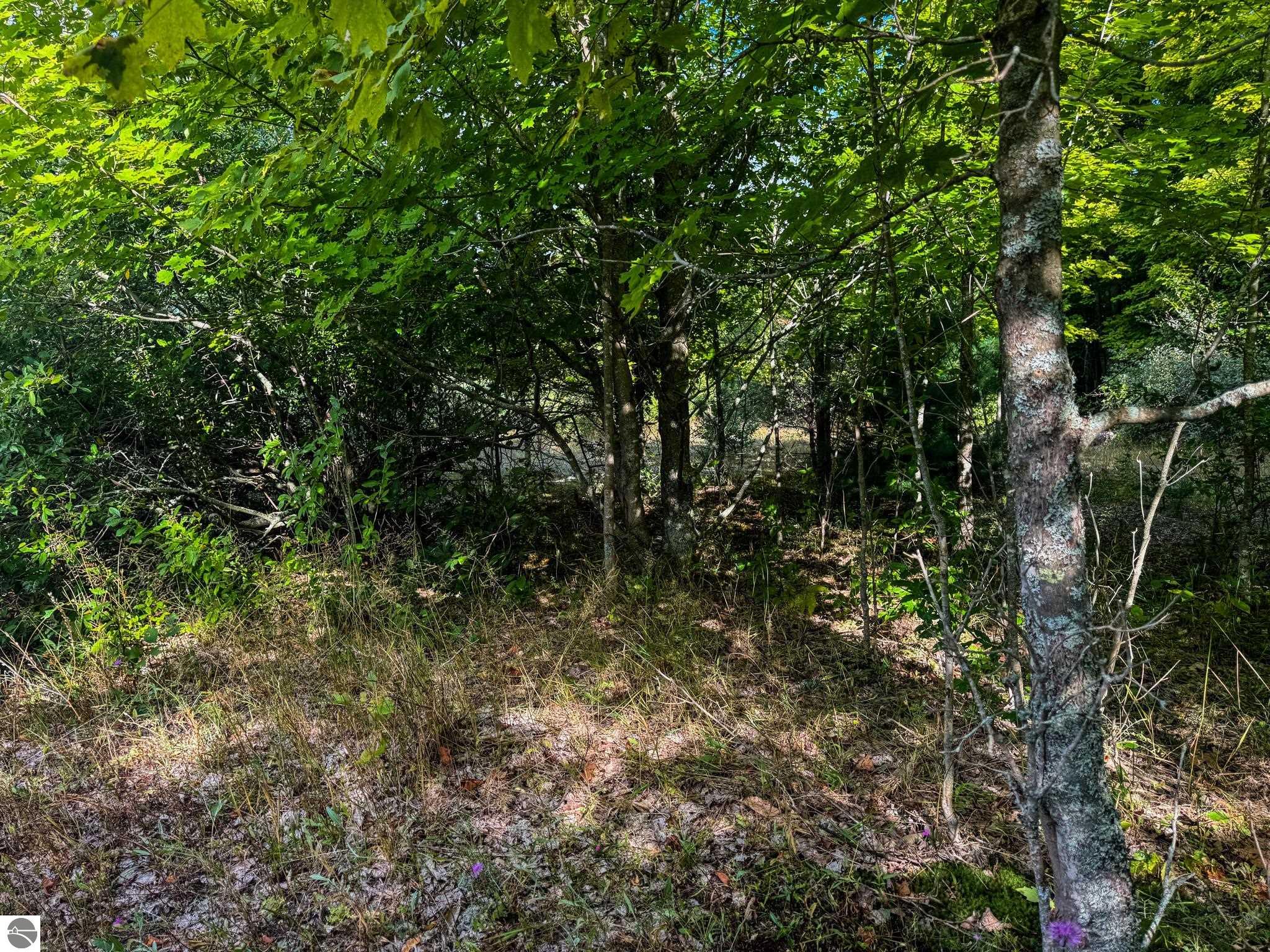Parcel 3 E Darga Road