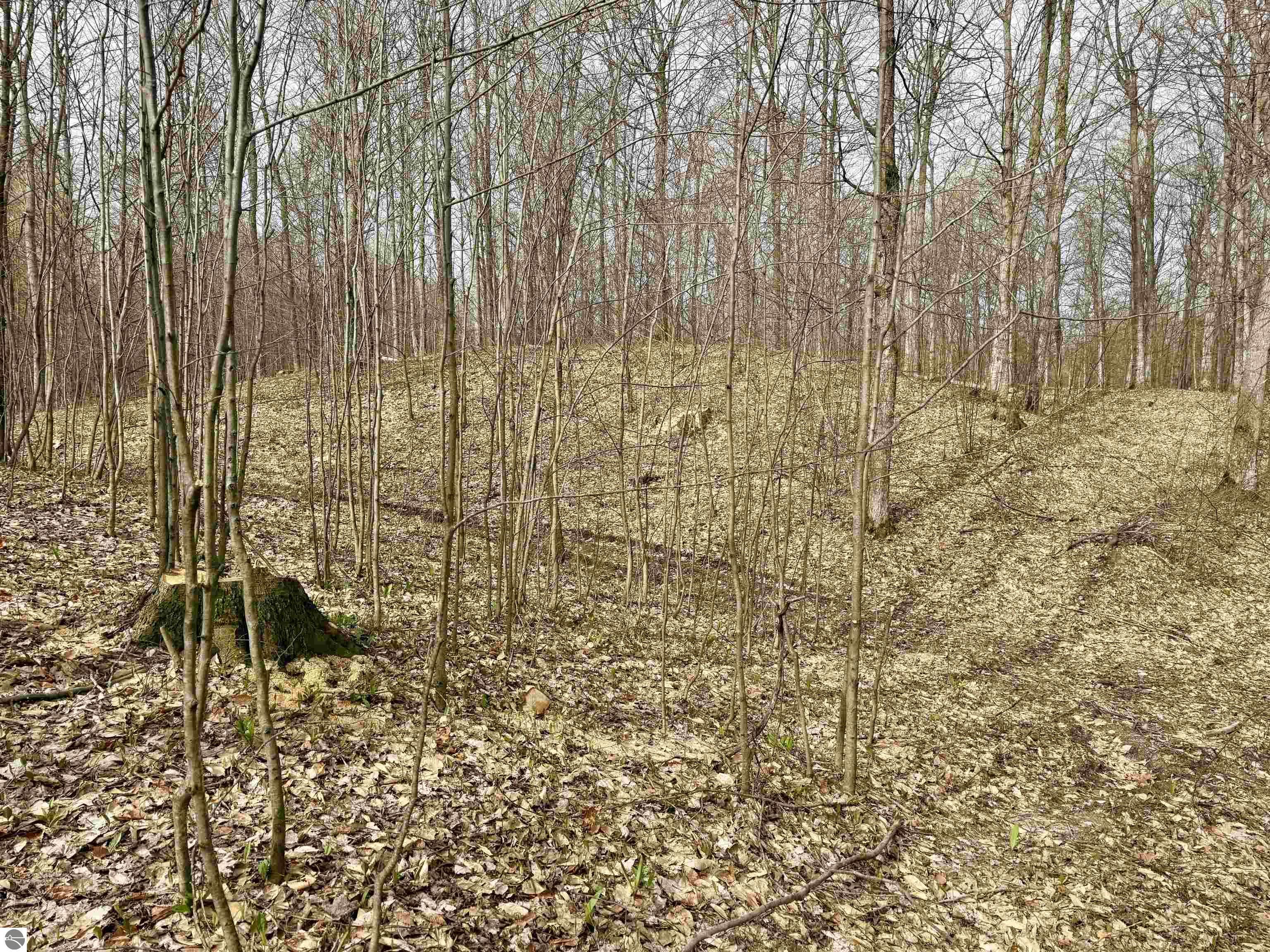 15 S Mistys Trail
