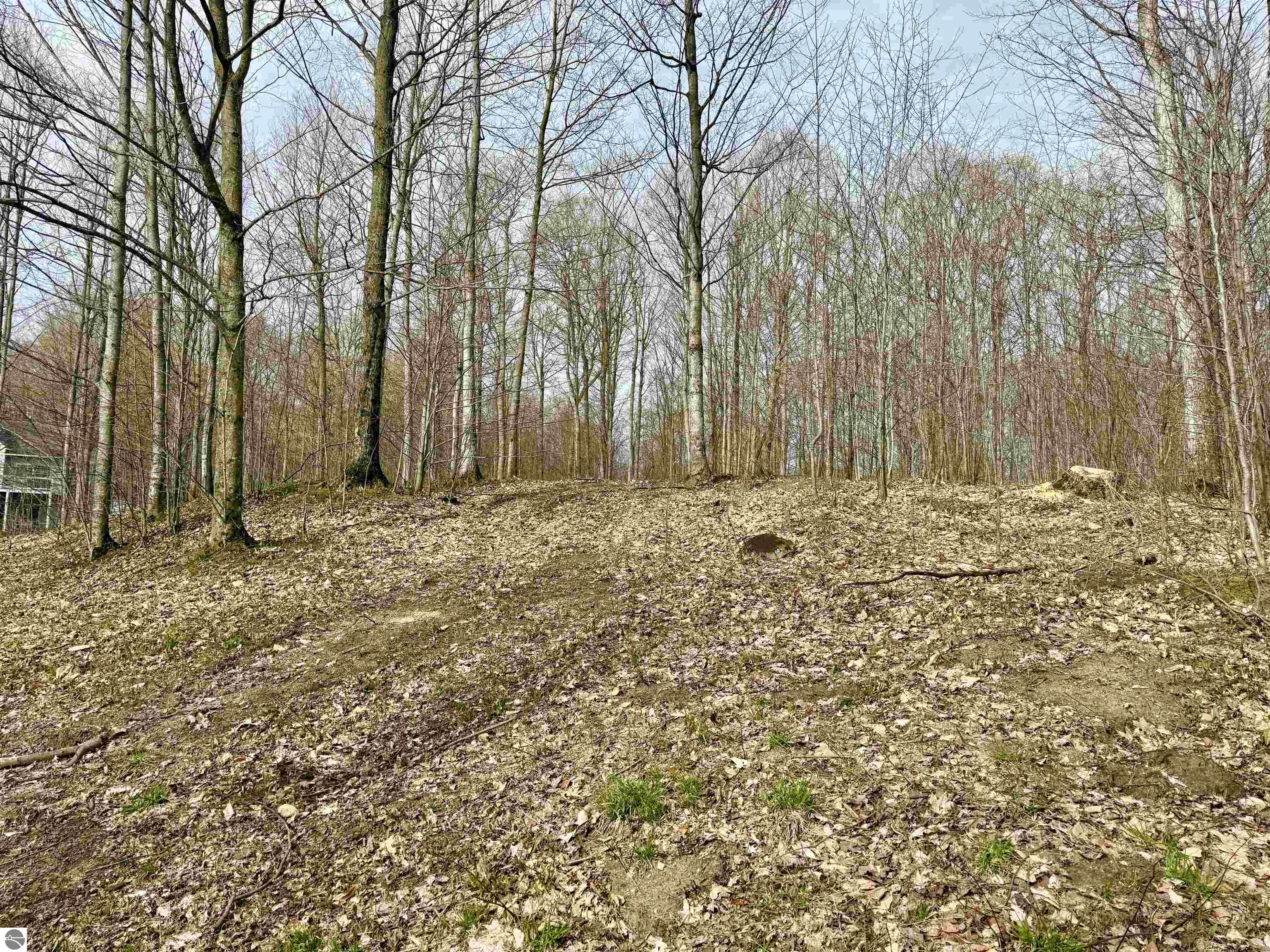 15 S Mistys Trail