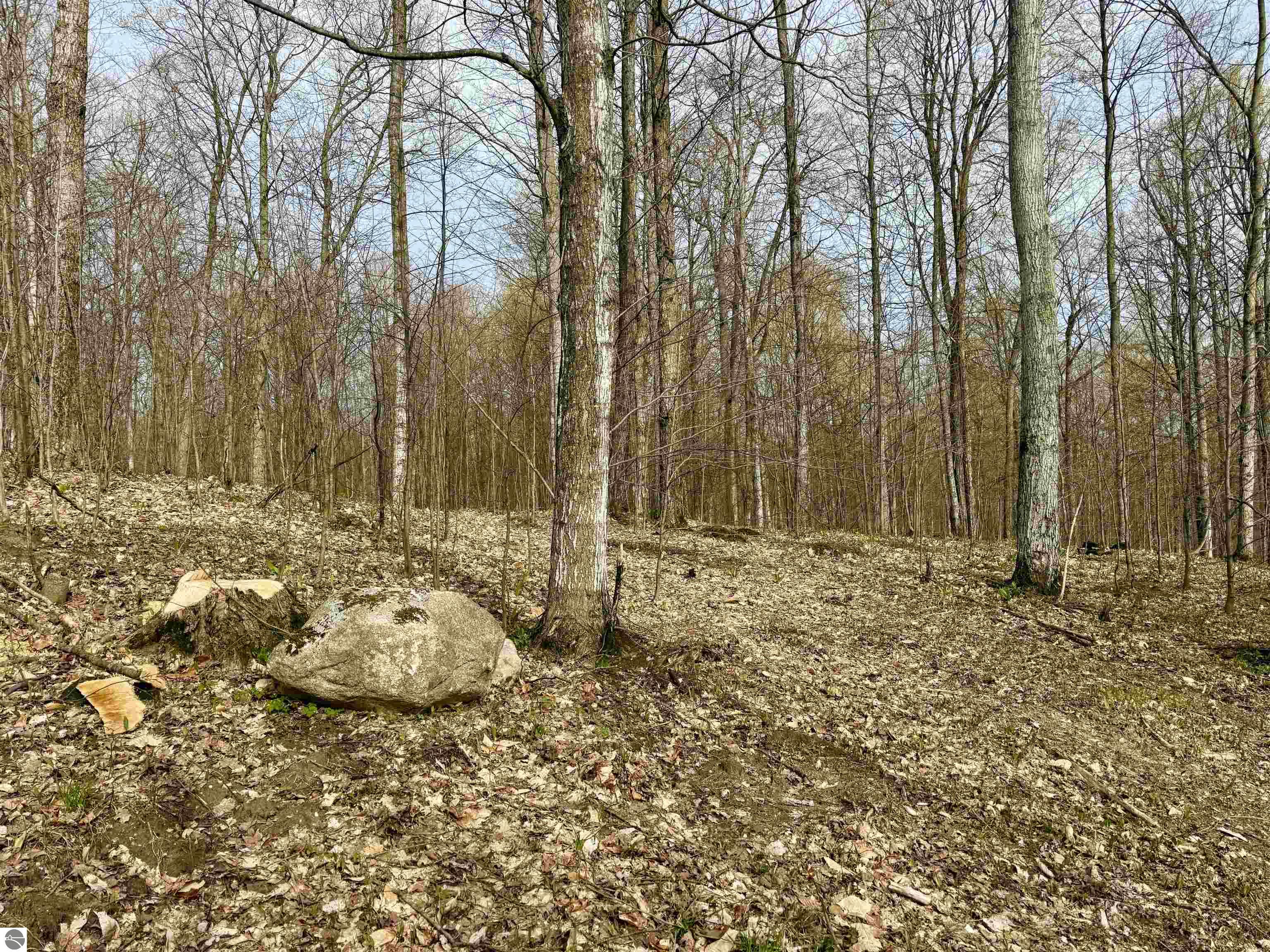 15 S Mistys Trail