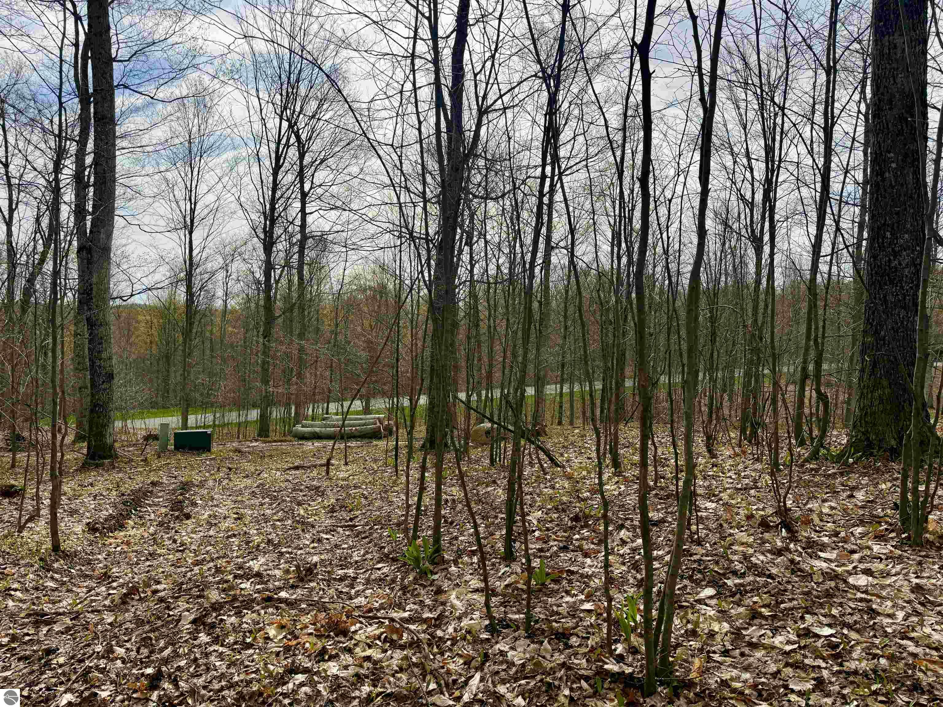 15 S Mistys Trail