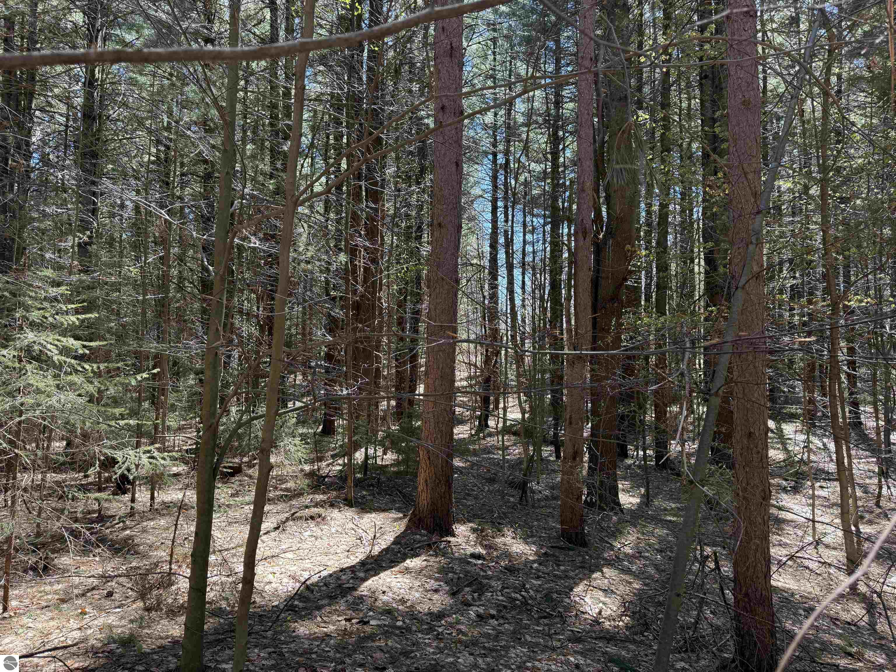 0000 W Timber Lane