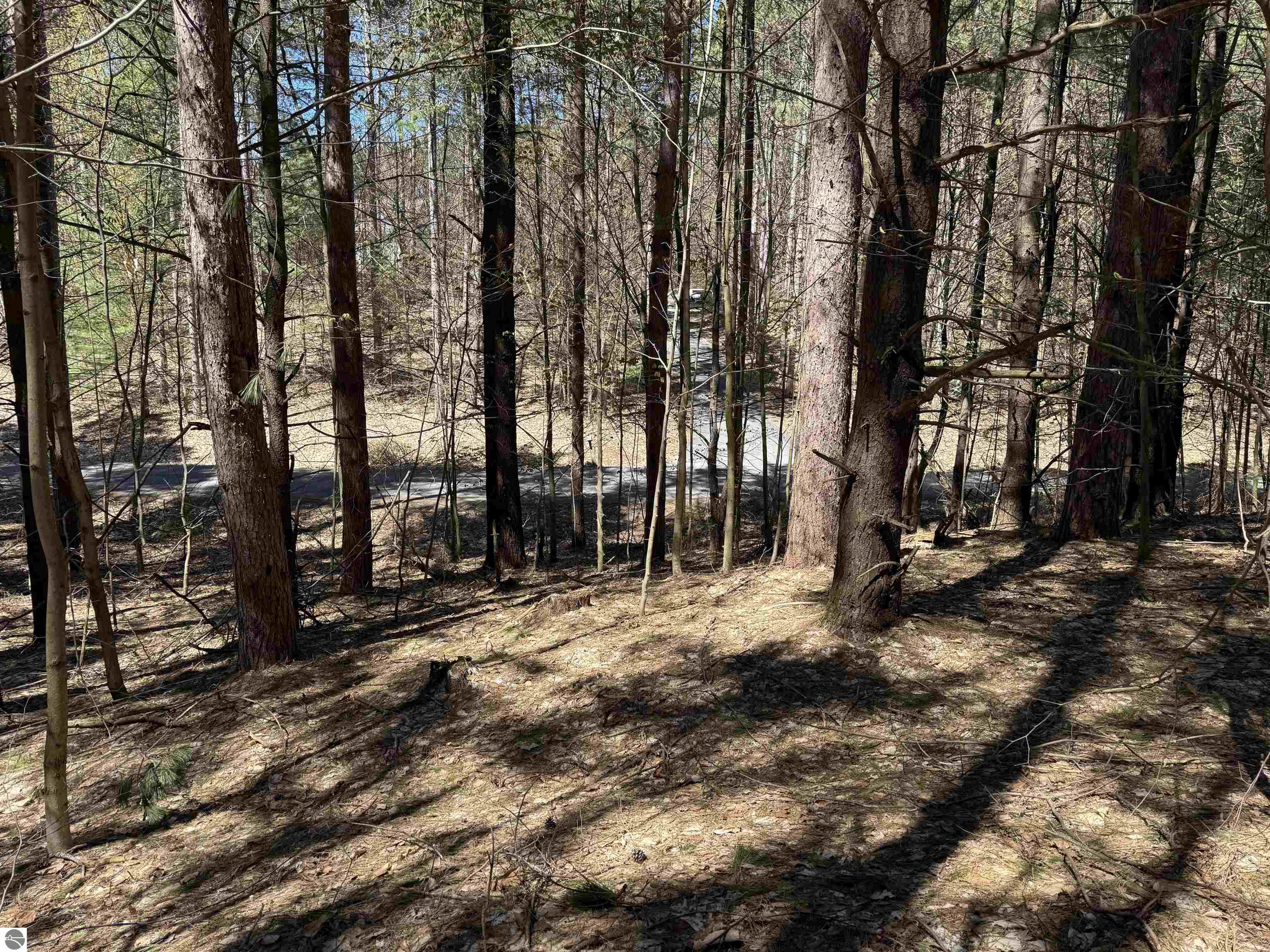 0000 W Timber Lane
