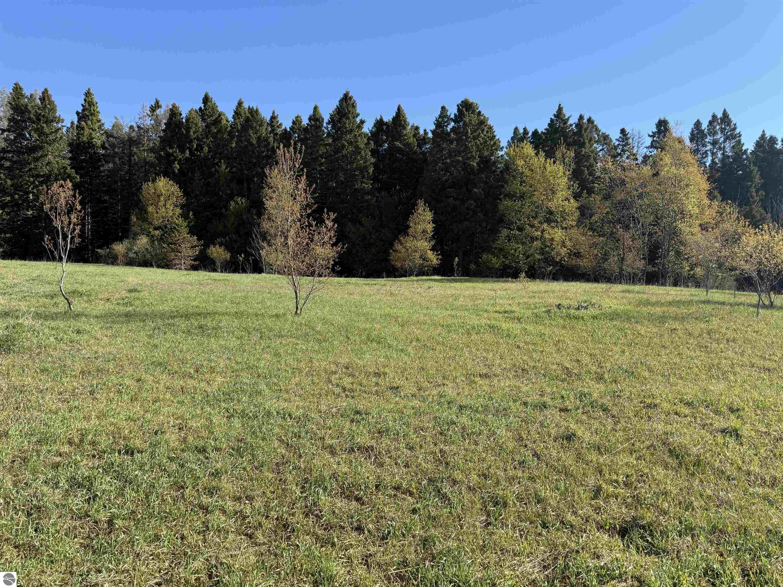 0000 W Timber Lane