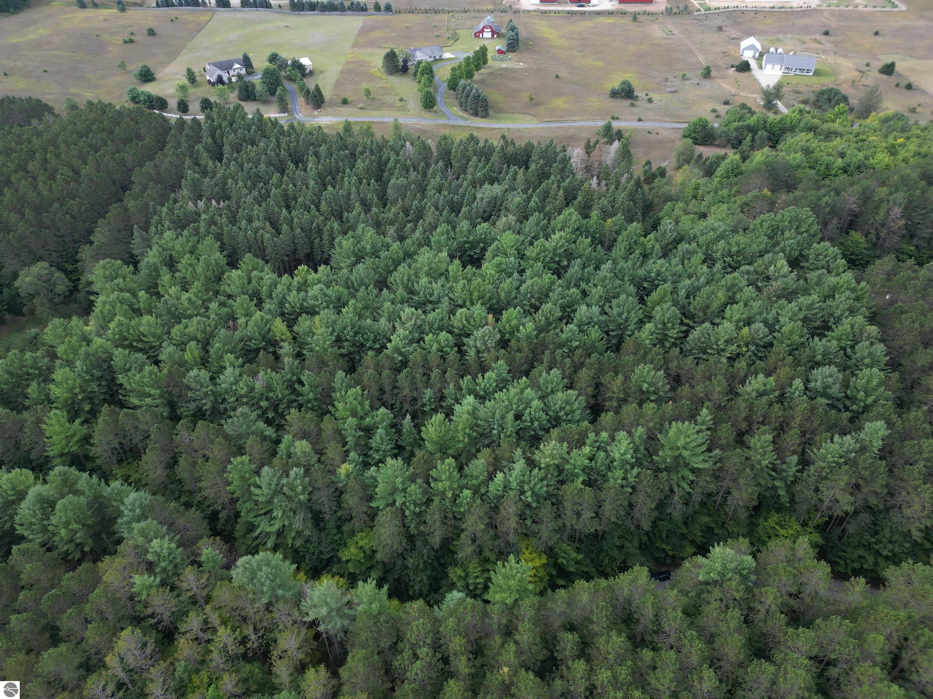 0000 W Timber Lane