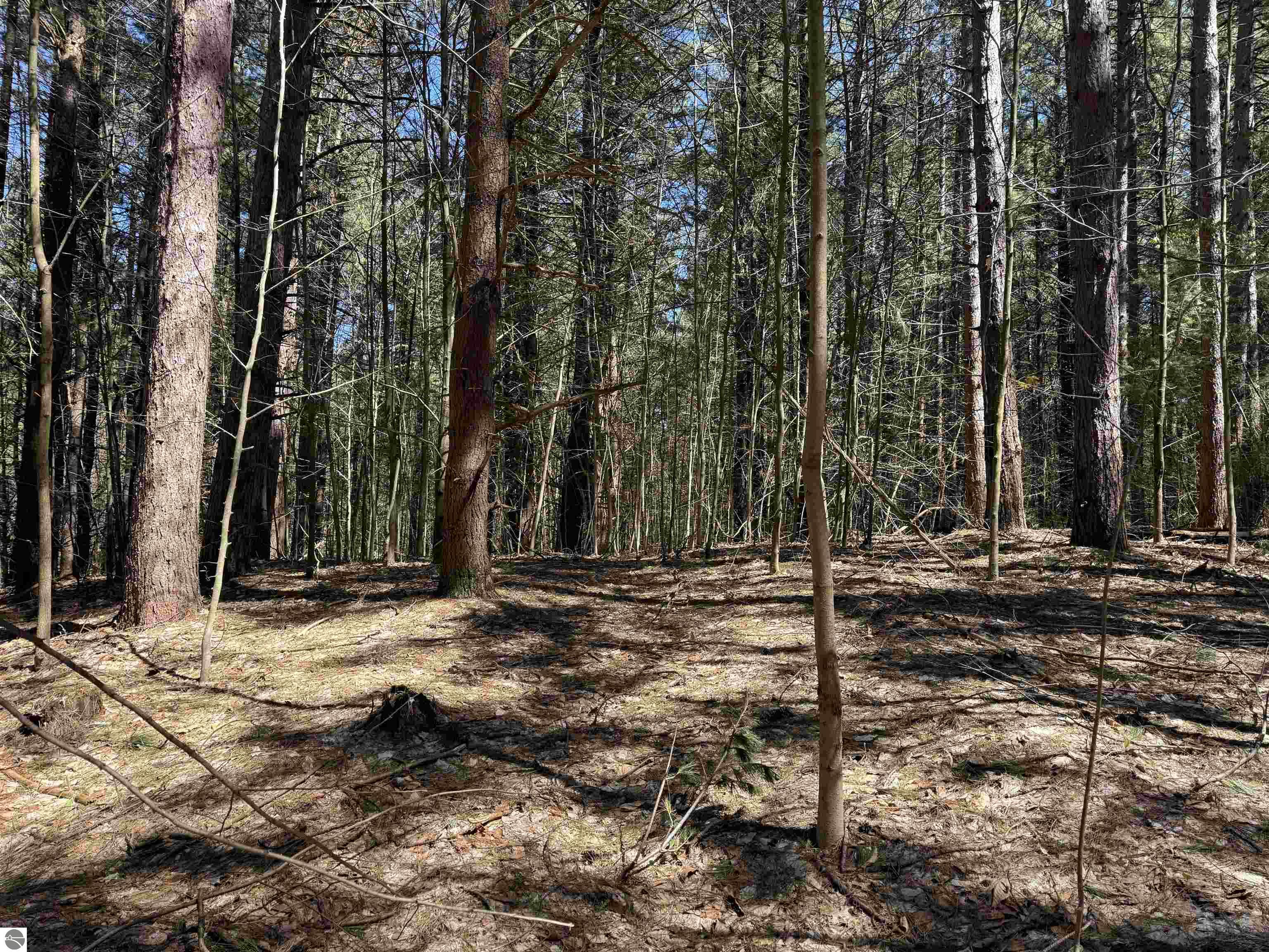 0000 W Timber Lane
