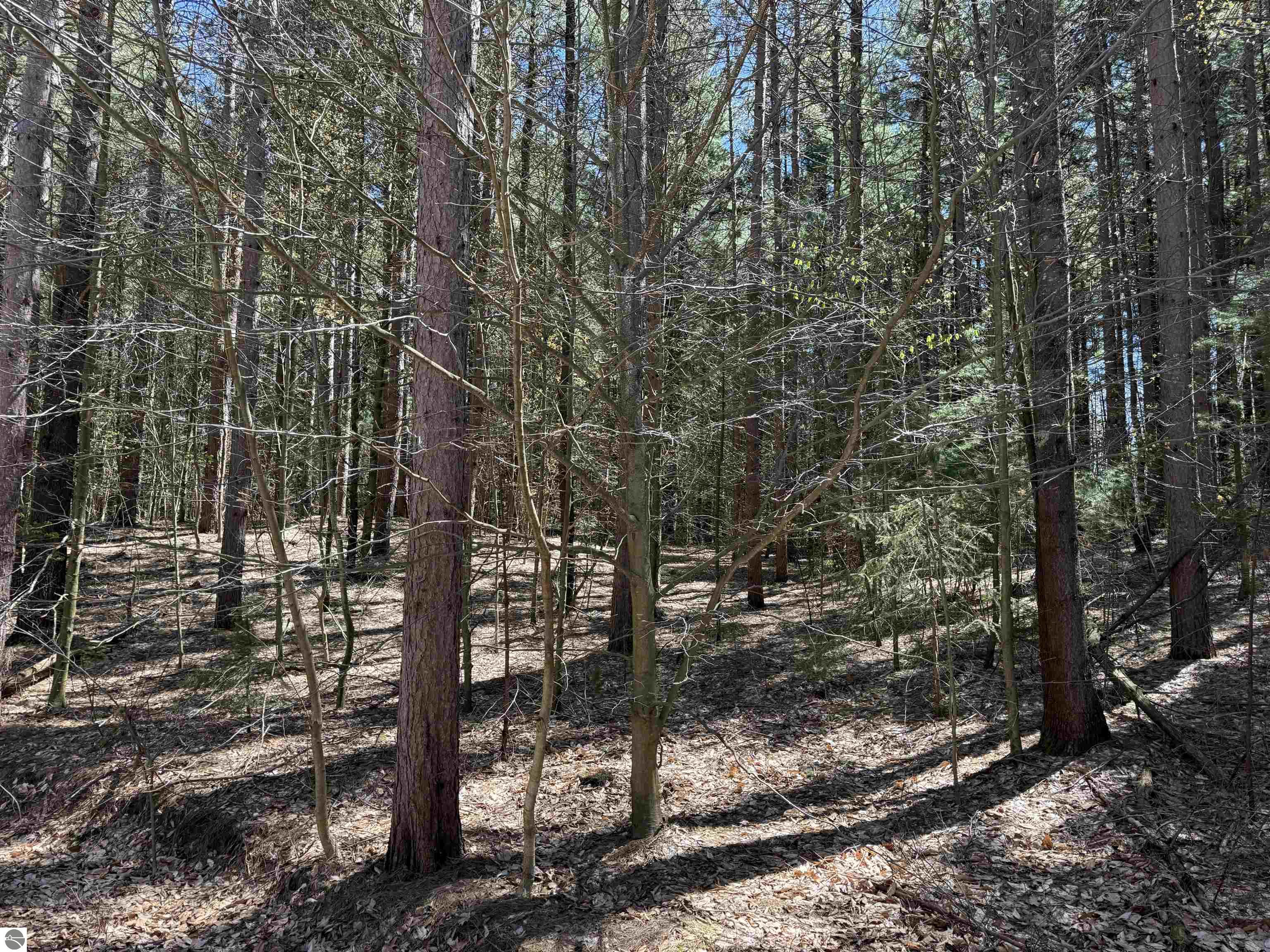 0000 W Timber Lane