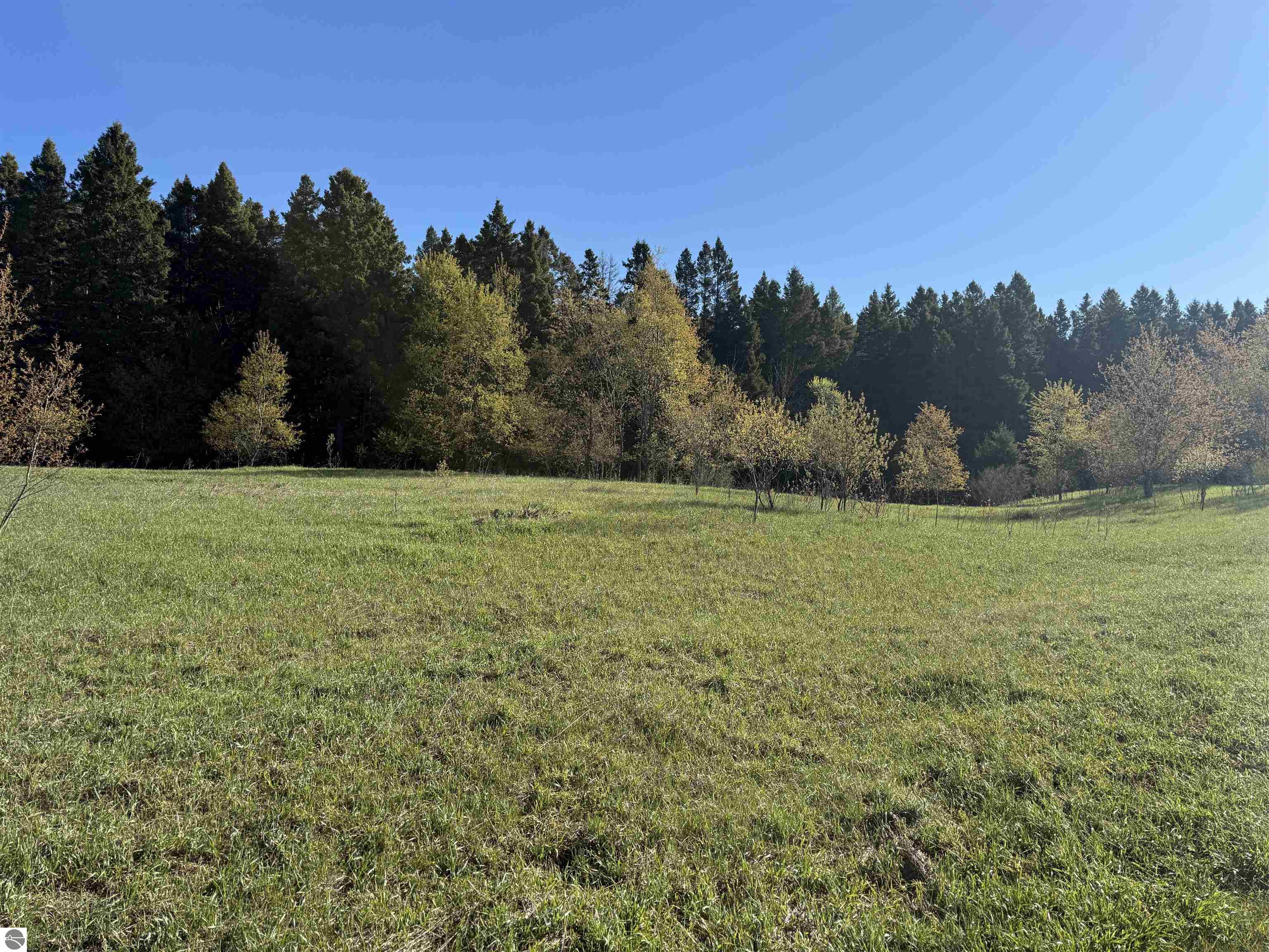 0000 W Timber Lane