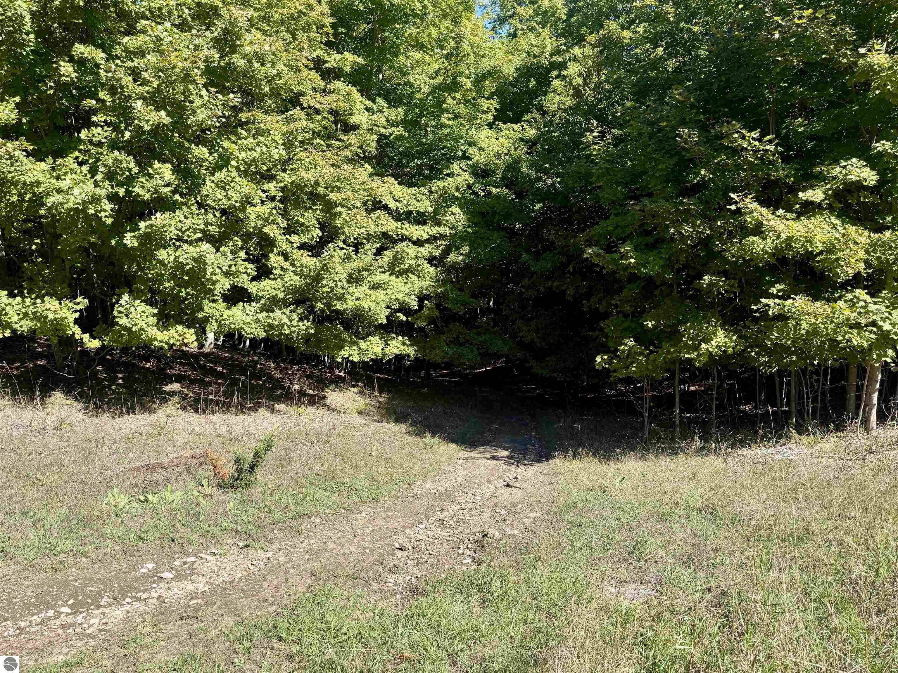 000 W Hlavka Road
