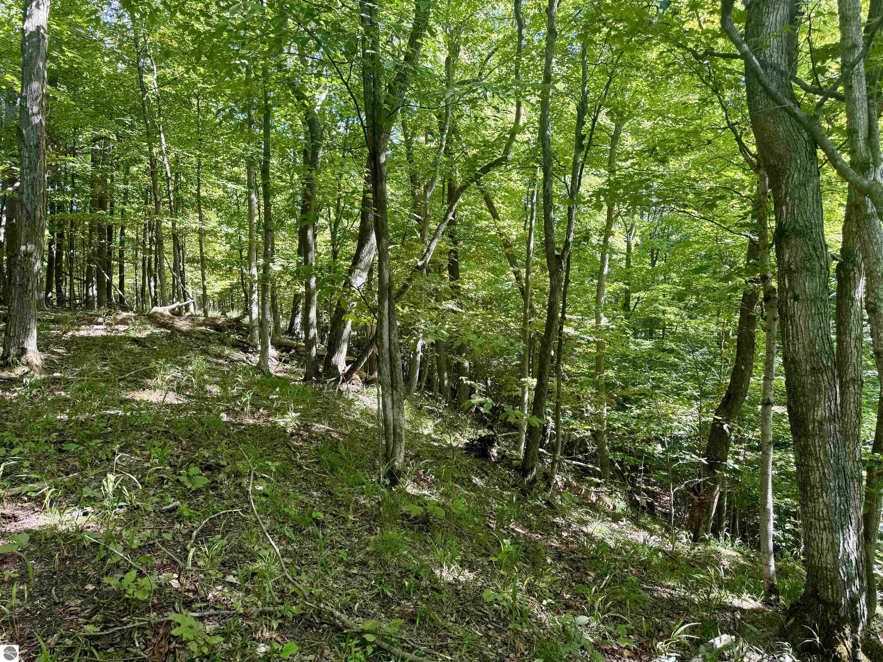 000 W Hlavka Road