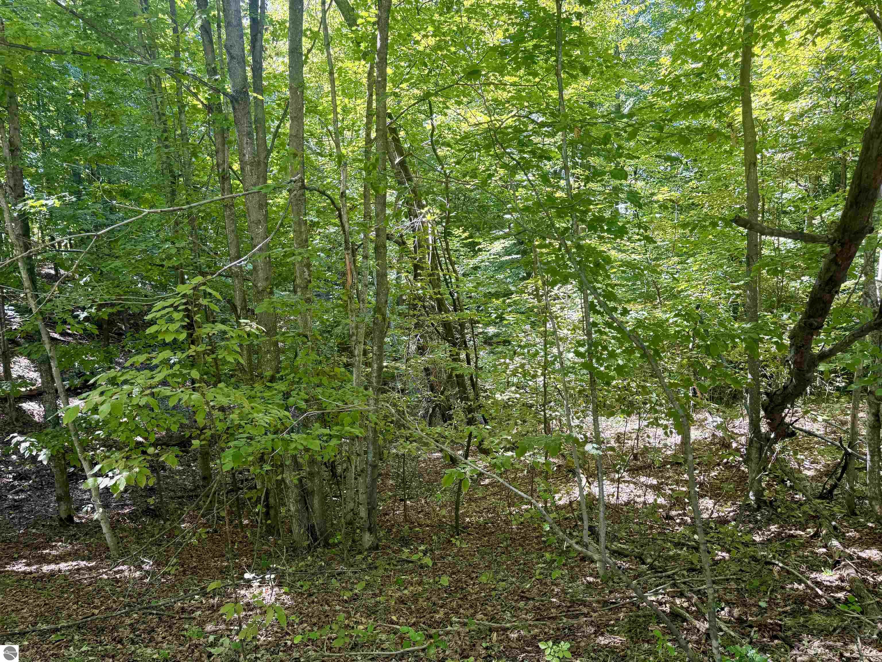 000 W Hlavka Road