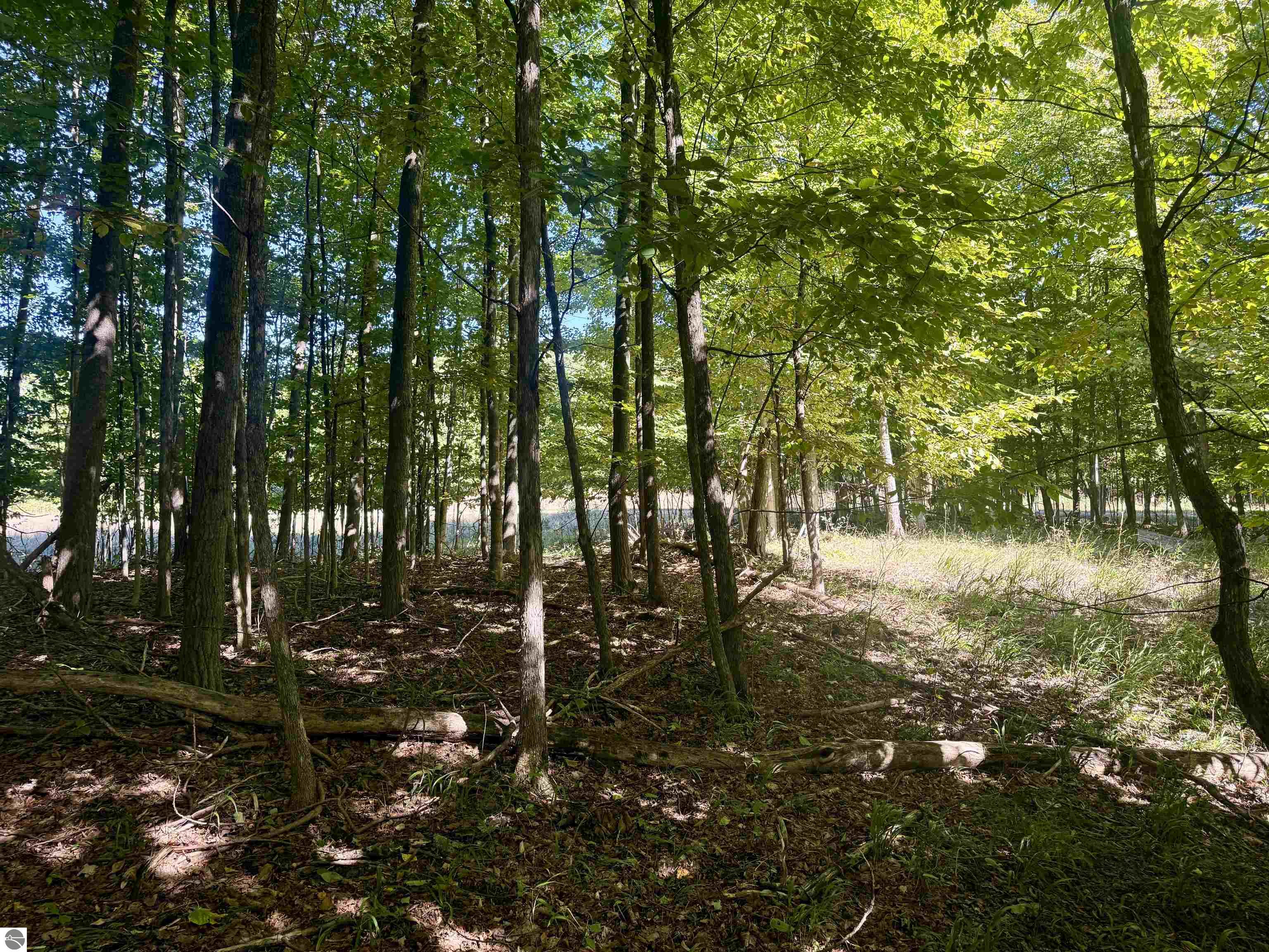 000 W Hlavka Road