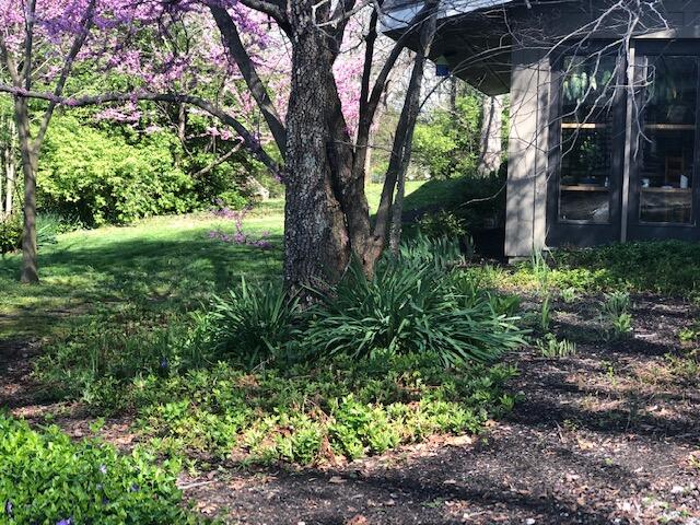 2474 Bridgeport Benson Road