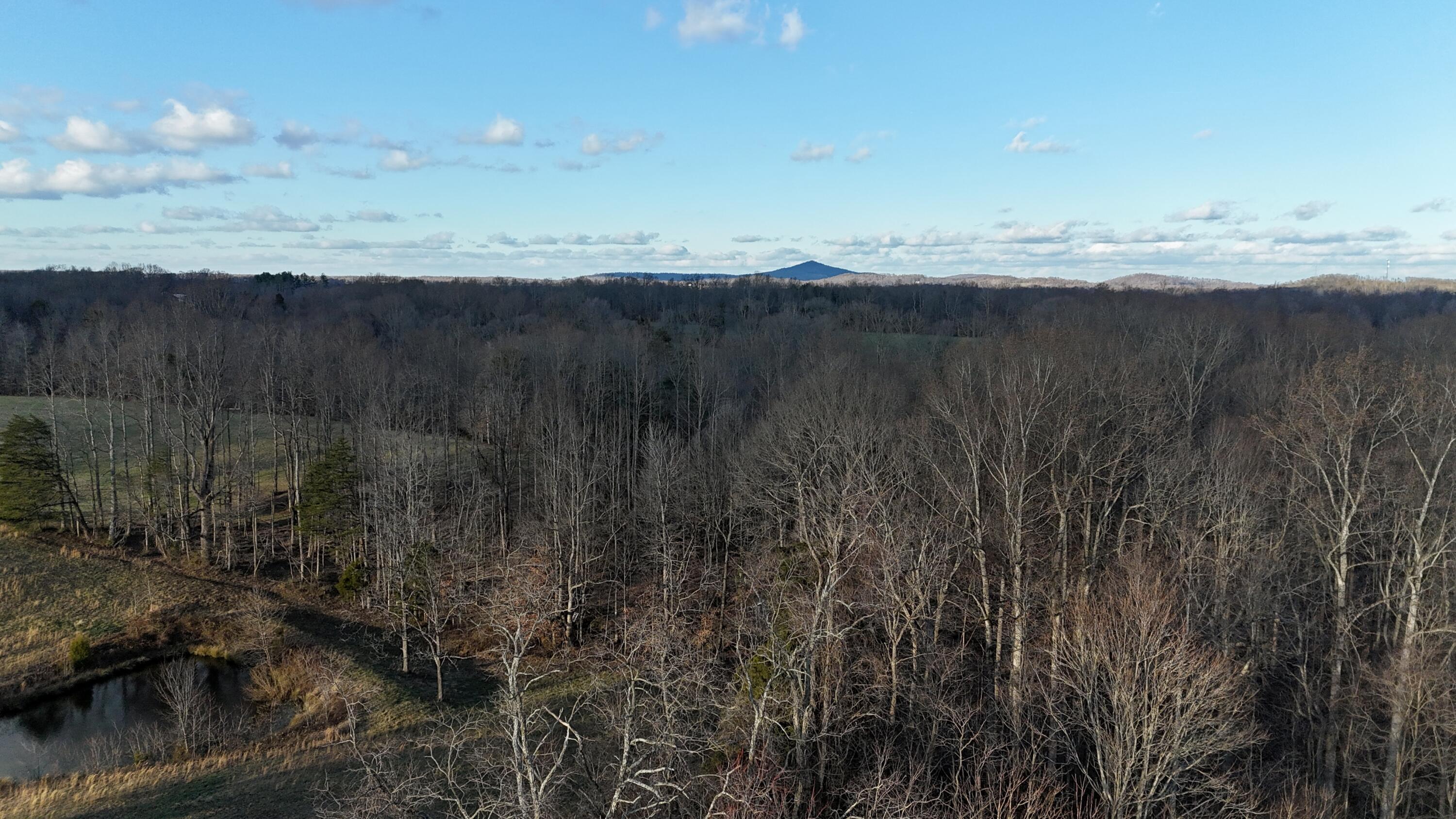 2296 Wolf Creek Road