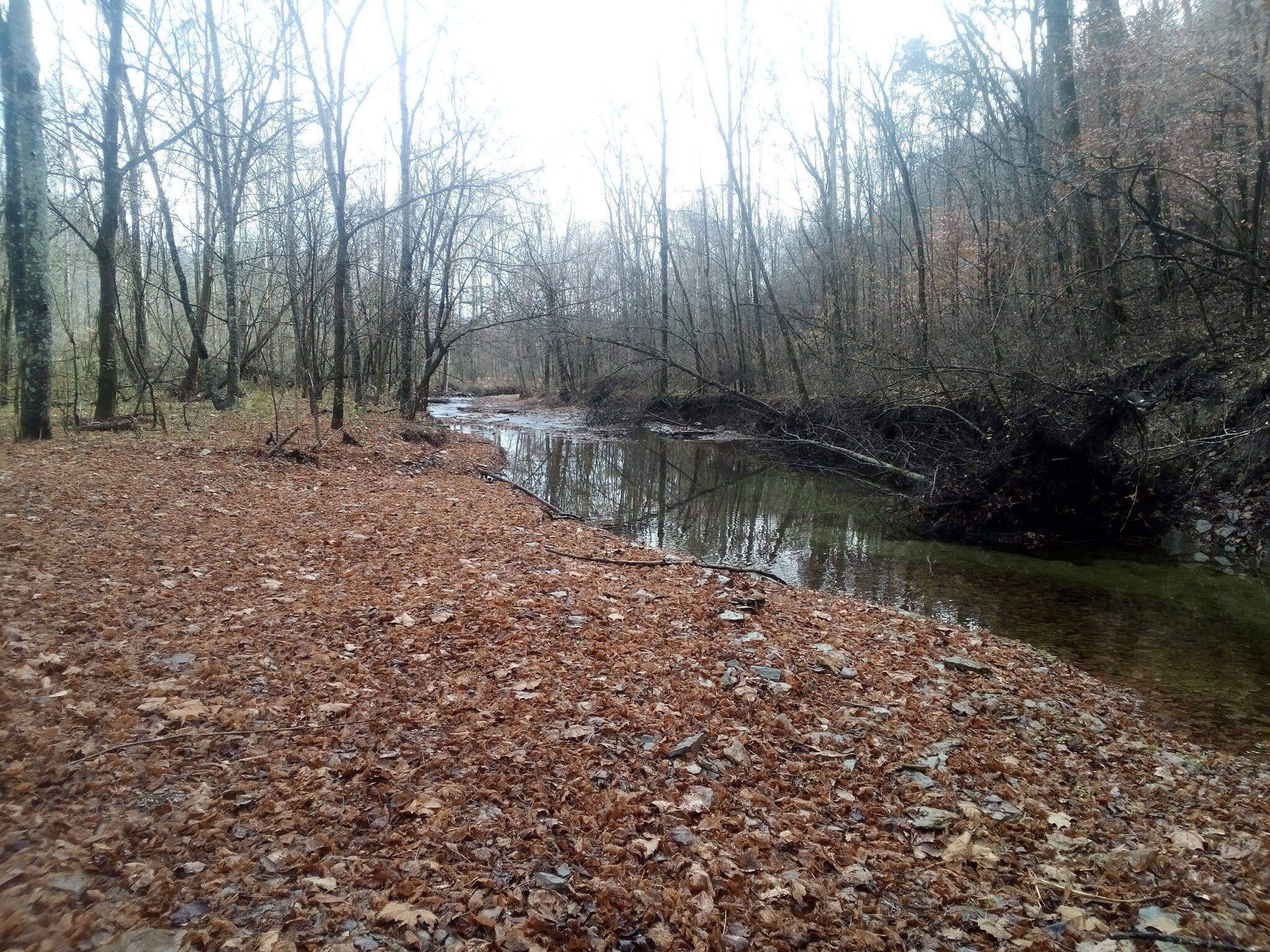 1666 Pointer Creek Road