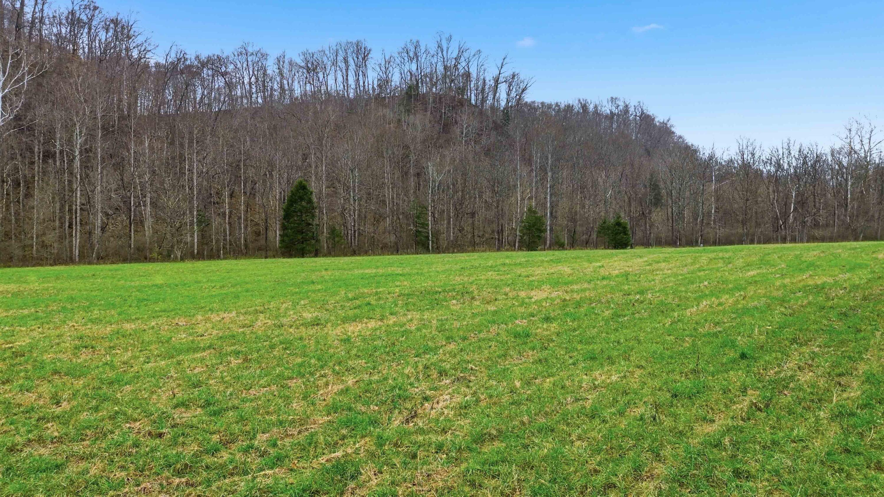 1666 Pointer Creek Road