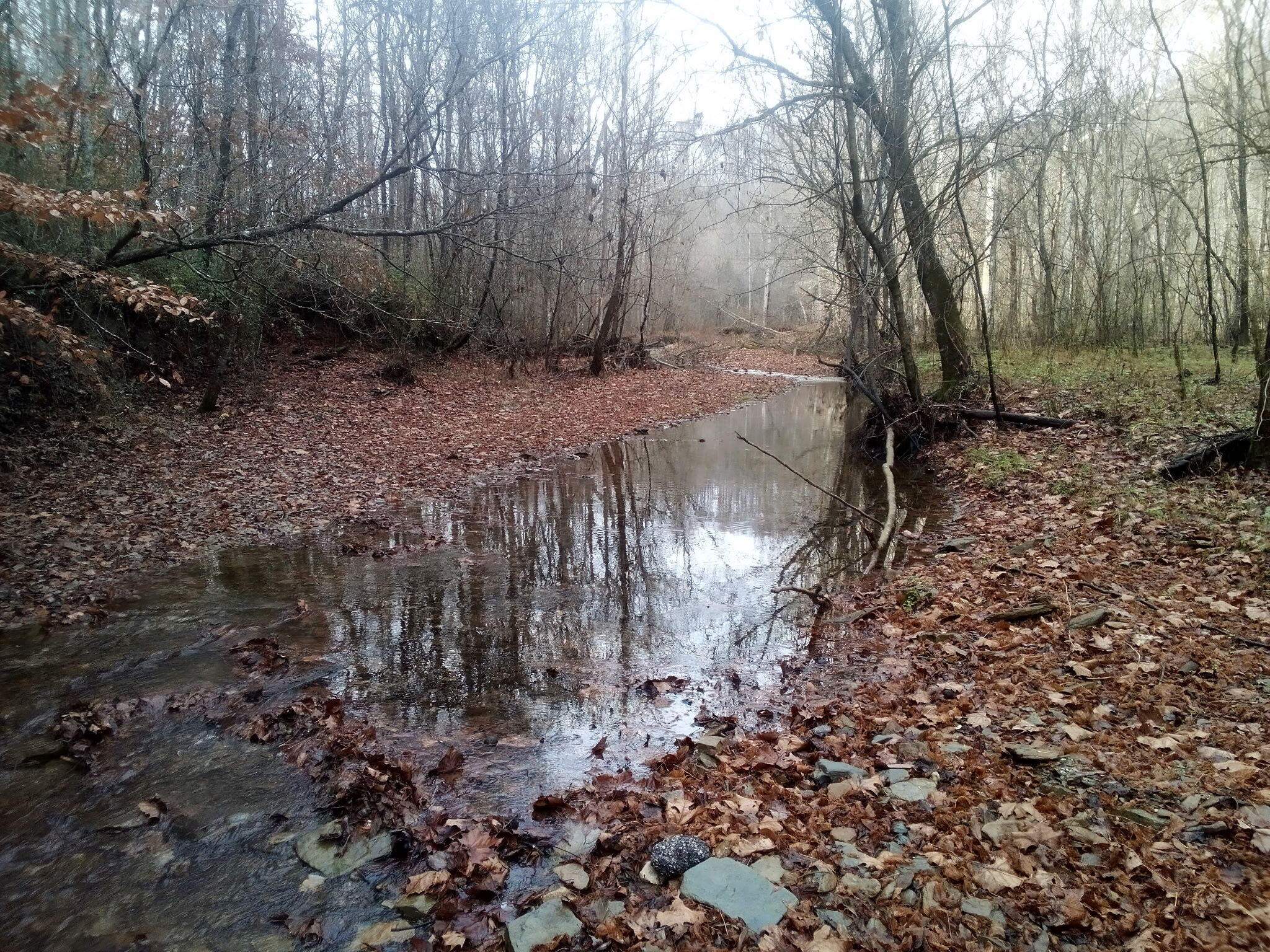 1666 Pointer Creek Road