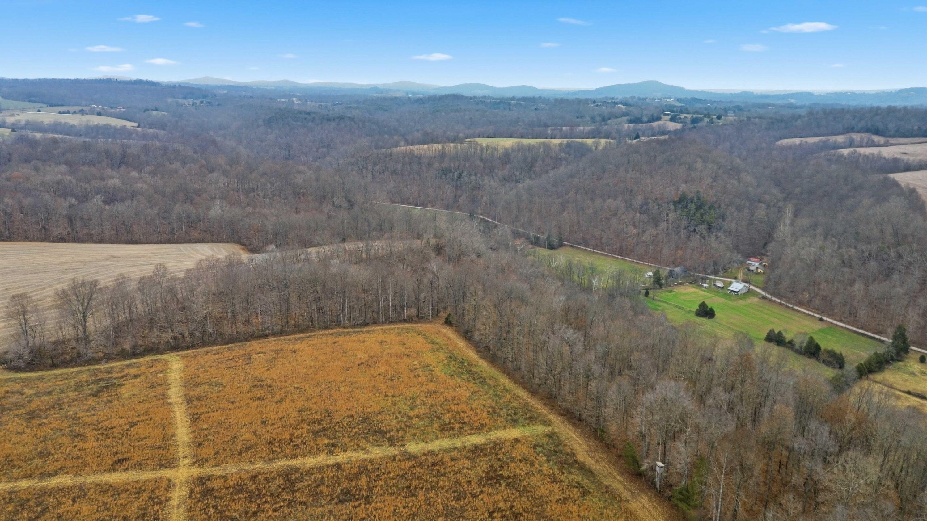 1666 Pointer Creek Road