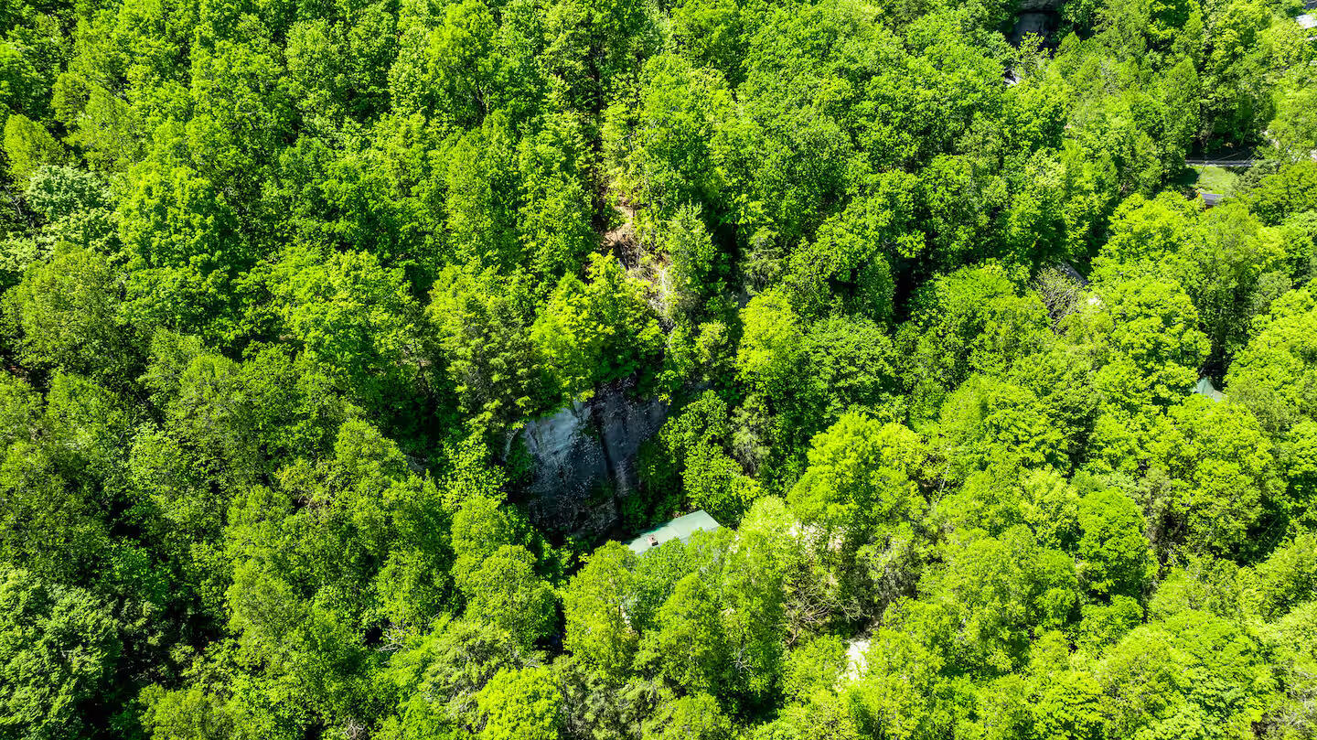 646 Right Fork Fixer Road