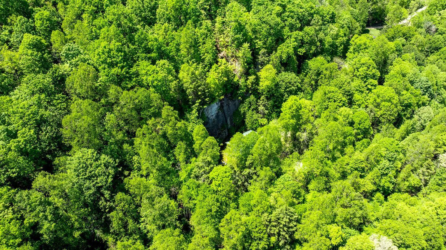 646 Right Fork Fixer Road