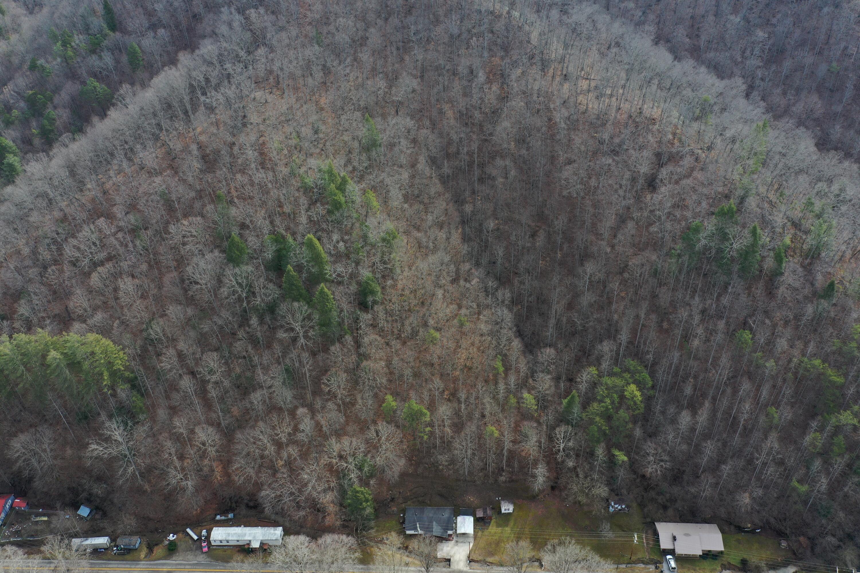 944 Possum Trot Road