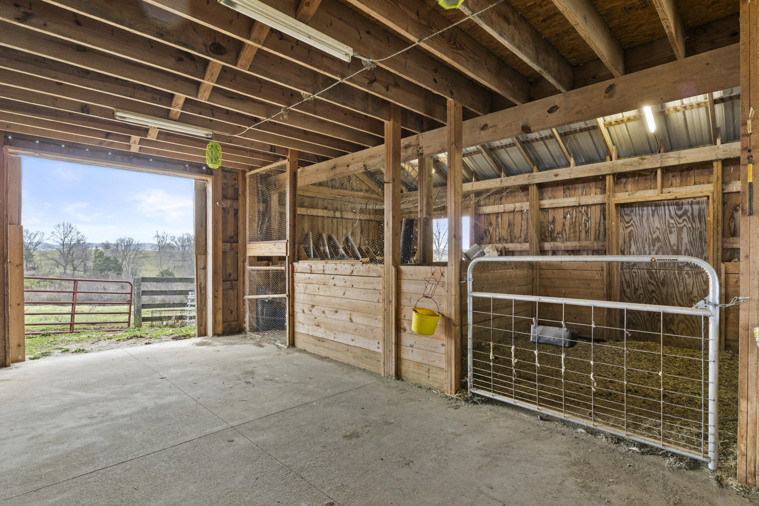 354 Frog Branch Road
