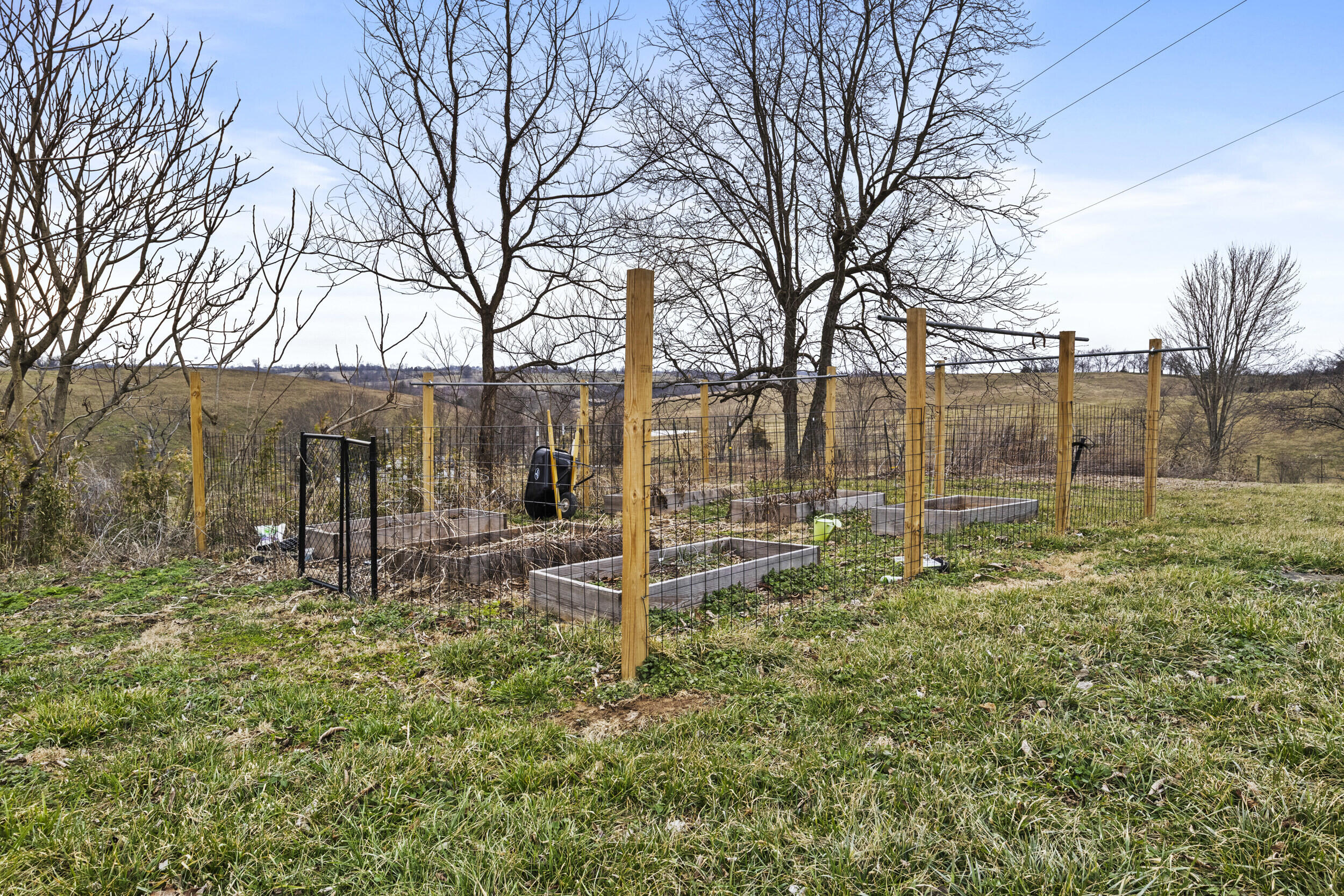 354 Frog Branch Road