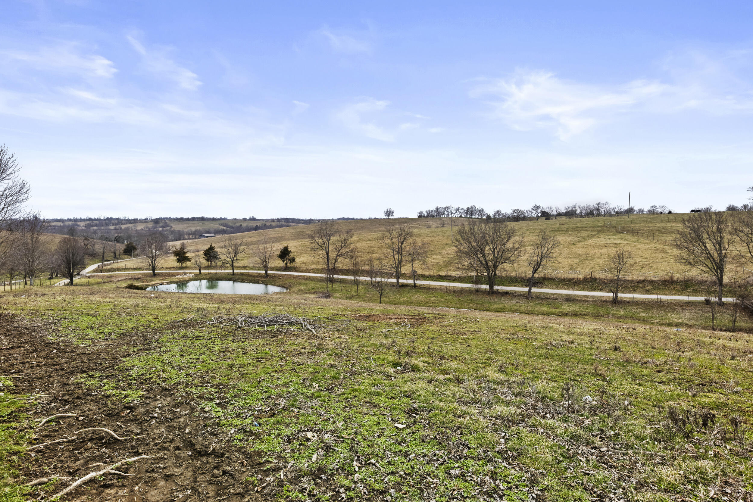 354 Frog Branch Road