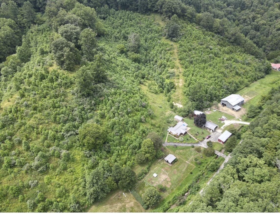 1267 Lower Taulbee Fork Road