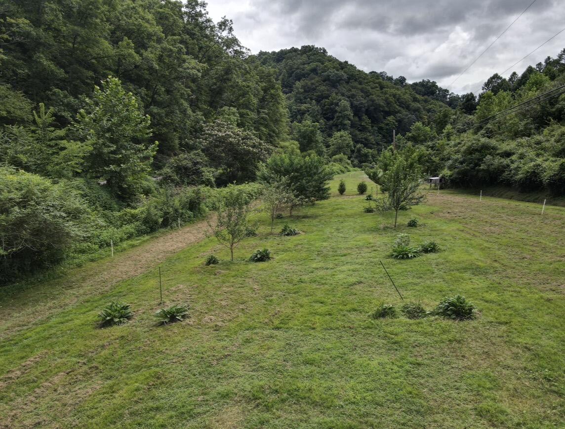 1267 Lower Taulbee Fork Road