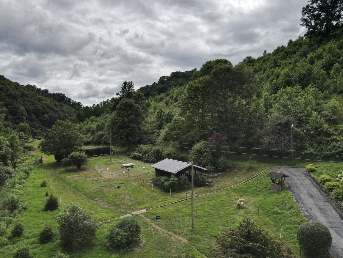 1267 Lower Taulbee Fork Road