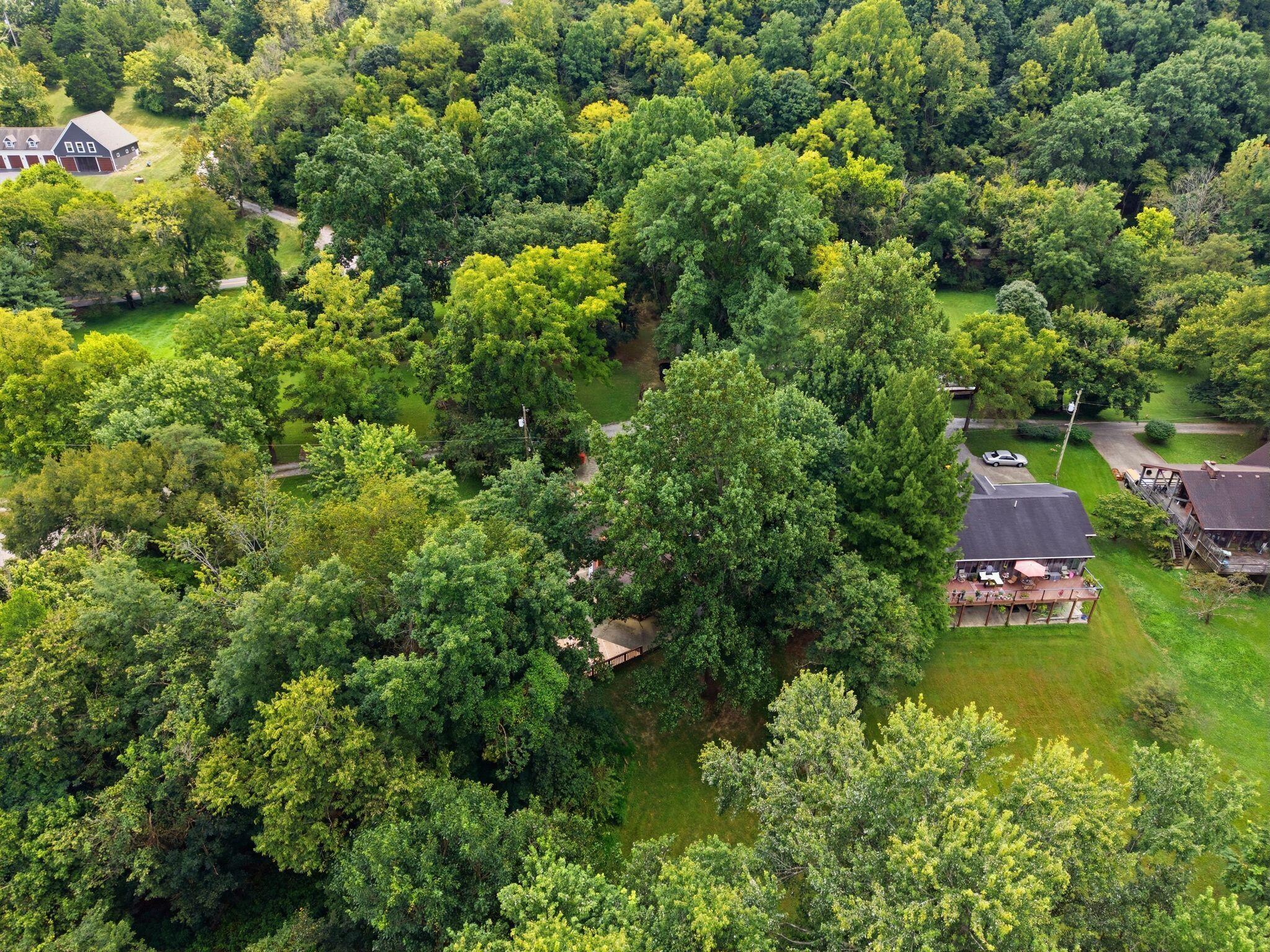 259 Big Eddy Road