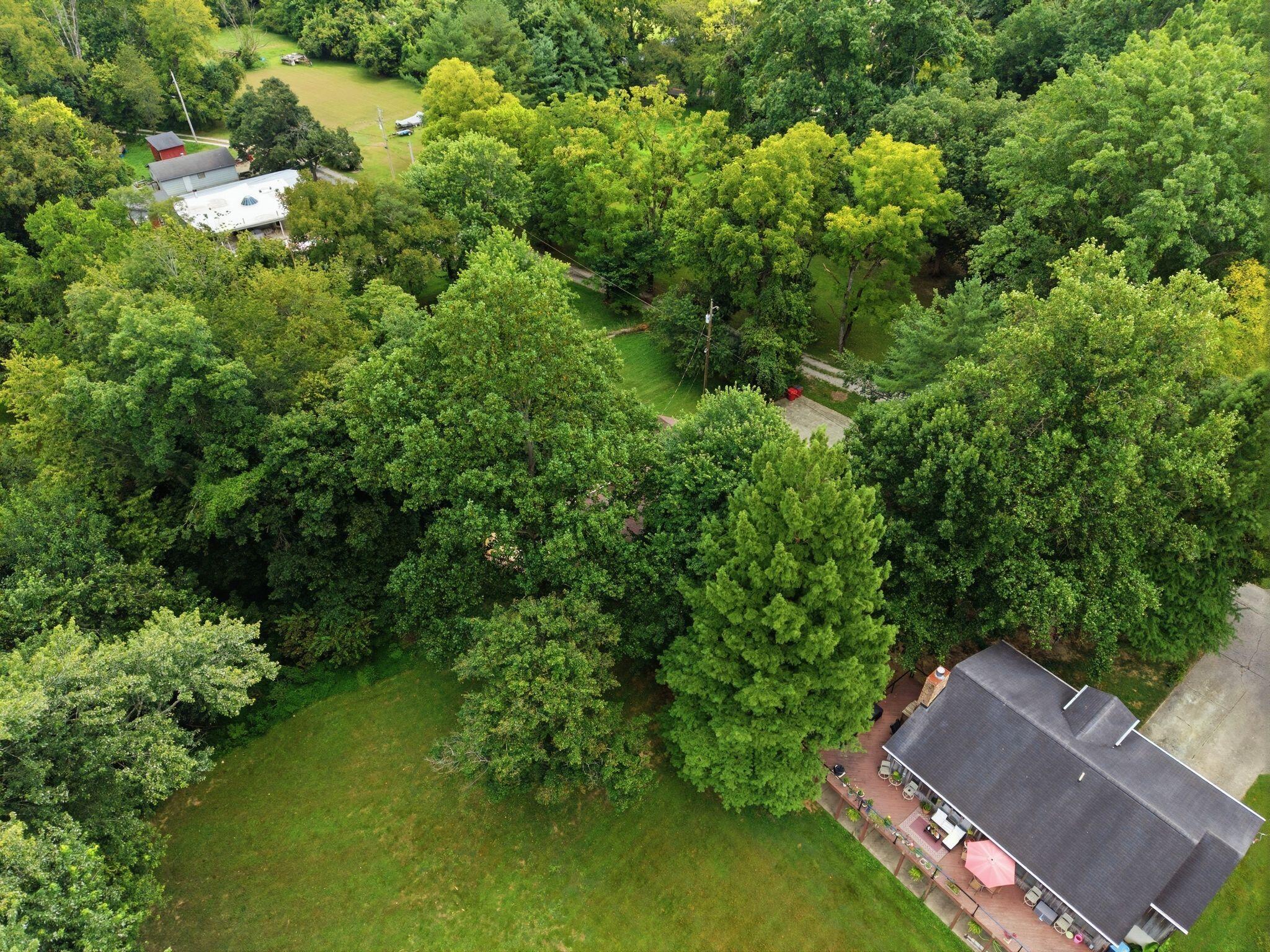 259 Big Eddy Road