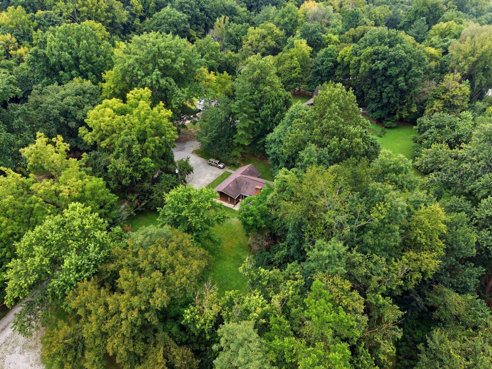 259 Big Eddy Road