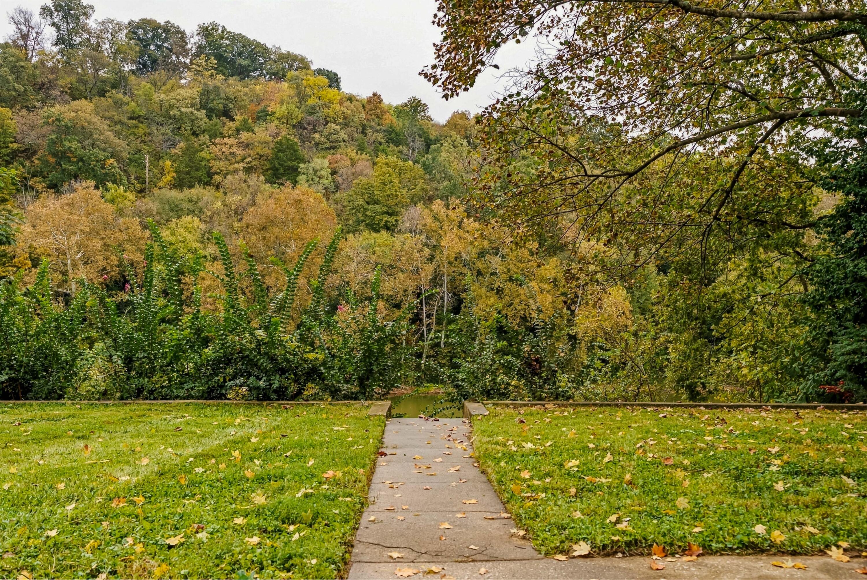 307 Paul Sawyier Drive
