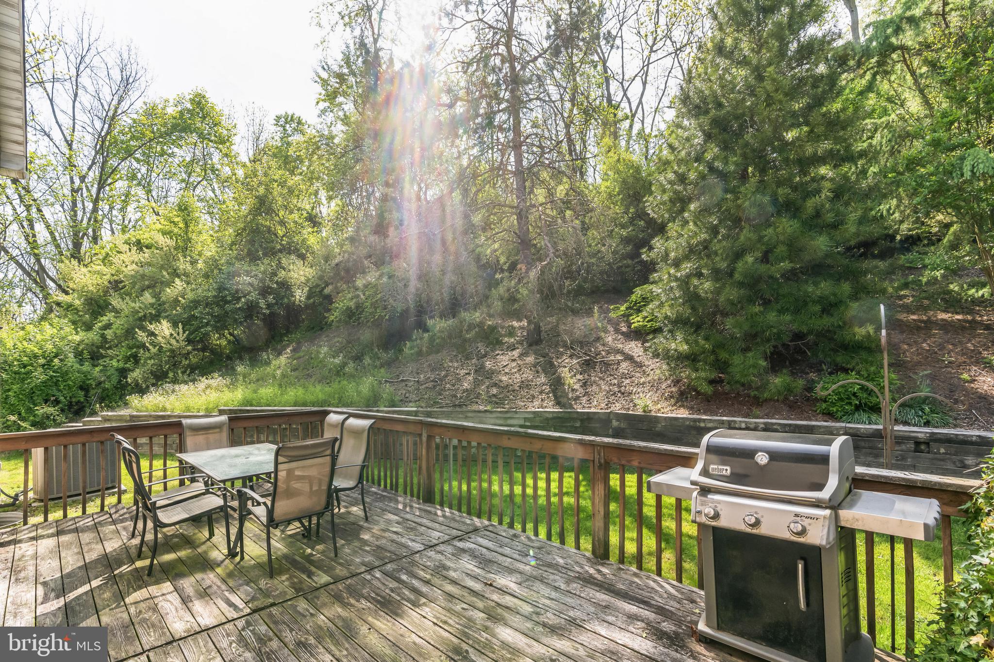 1441 Williamsburg Dr
