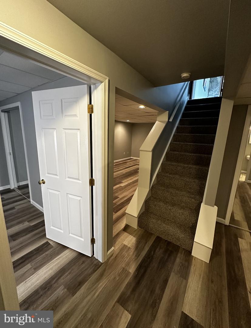 1441 Williamsburg Dr