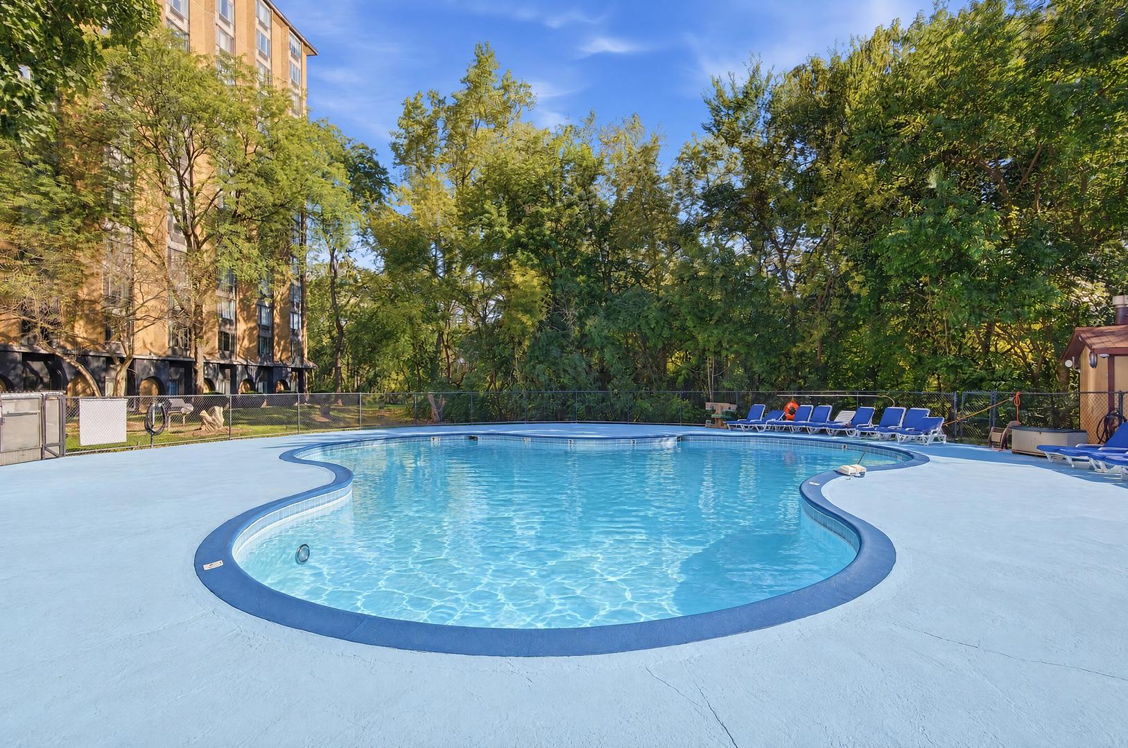 Outdoor pool with a curved blue-tile edge, lounge chairs, and mature trees.