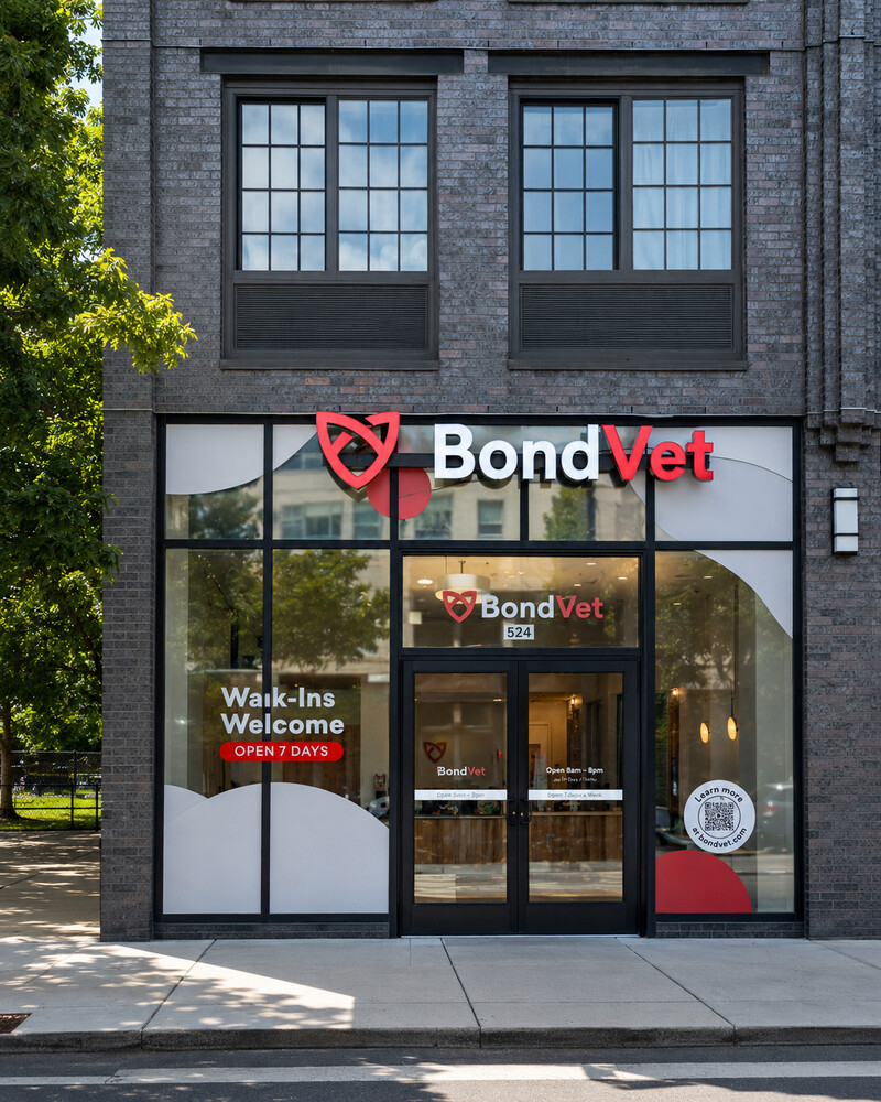 91 GRAND Avenue 4D