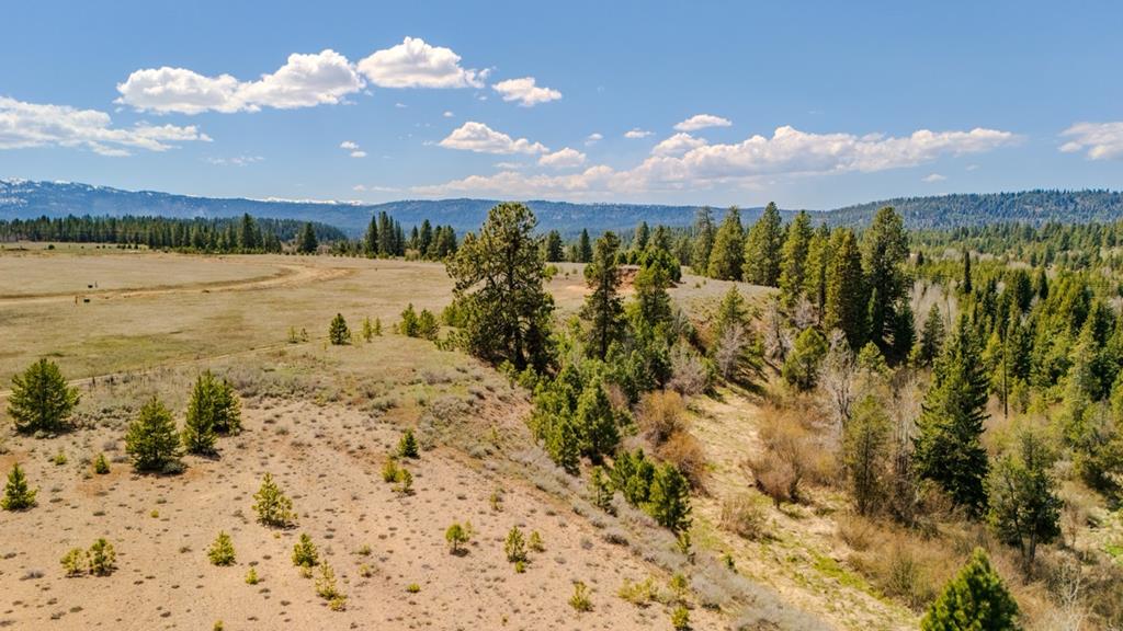 TBD Rawhide Loop # 15, McCall Unit: 15