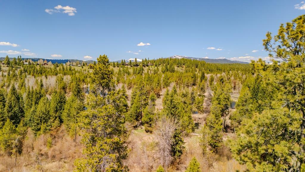 TBD Rawhide Loop # 17, McCall Unit: 17