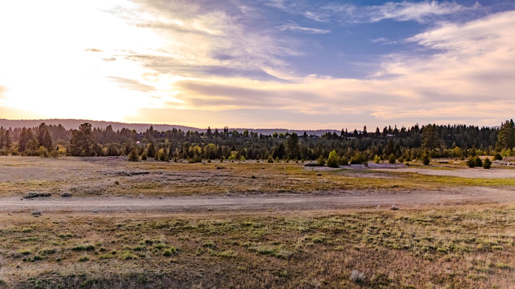 TBD Rawhide Loop # 40, McCall Unit: 40