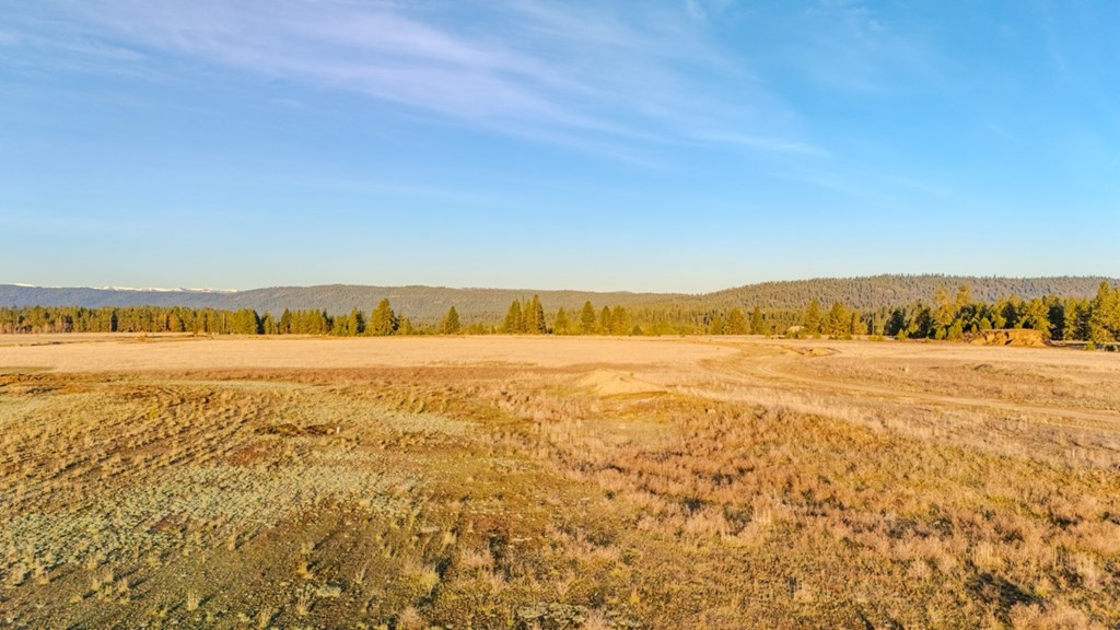 TBD Rawhide Loop # 41, McCall Unit: 41